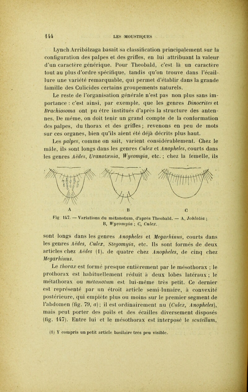 Lynch Arribâlzaga basait sa classification principalement sur la configuration des palpes et des griffes, en lui attribuant la valeur d'un caractère générique. Pour ïheobald, c'est là un caractère tout au plus d'ordre spécifique, tandis qu'on trouve dans l'écail- lure une variété remarquable, qui permet d'établir dans la grande famille des Gulicides certains groupements naturels. Le reste de l'organisation générale n'est pas non plus sans im- portance : c'est ainsi, par exemple, que les genres Dinocrites et Brachiosoma ont pu être institués d'après la structure des anten- nes. De même, on doit tenir un grand compte de la conformation des palpes, du thorax et des griffes ; revenons en peu de mots sur ces organes, bien qu'ils aient été déjà décrits plus haut. Les palpes, comme on sait, varient considérablement. Chez le mâle, ils sont longs dans les genres Culex et Anophèles, courts dans les genres Aëdes, Uranotœnia, Wyeomyia, etc. ; chez la femelle, ils Fig 147. — Variations du métanotum, d'après Tlieobald. — A, JobloLia ; B, Wyeomyia ; C, Culex. sont longs dans les genres Anophèles et Megarhinus, courts dans les genres Aëdes, Culex, Stegomyia, etc. Ils sont formés de deux articles chez Aëdes (1), de quatre chez Anophèles, de cinq chez Megarhinus. Le thorax est formé presque entièrement par le mésothorax ; le prothorax est habituellement réduit à deux lobes latéraux ; le métathorax ou métanotum est lui-même très petit. Ce dernier est représenté par un étroit article semi-lunaire, à convexité postérieure, qui empiète plus ou moins sur le premier segment de l'abdomen (fig. 79, a); il est ordinairement nu {Culex, Anophèles), mais peut porter des poils et des écailles diversement disposés (fig. 147). Entre lui et le mésothorax est interposé le scutellum, (1) Y compris un petit article basilairc très peu visible.