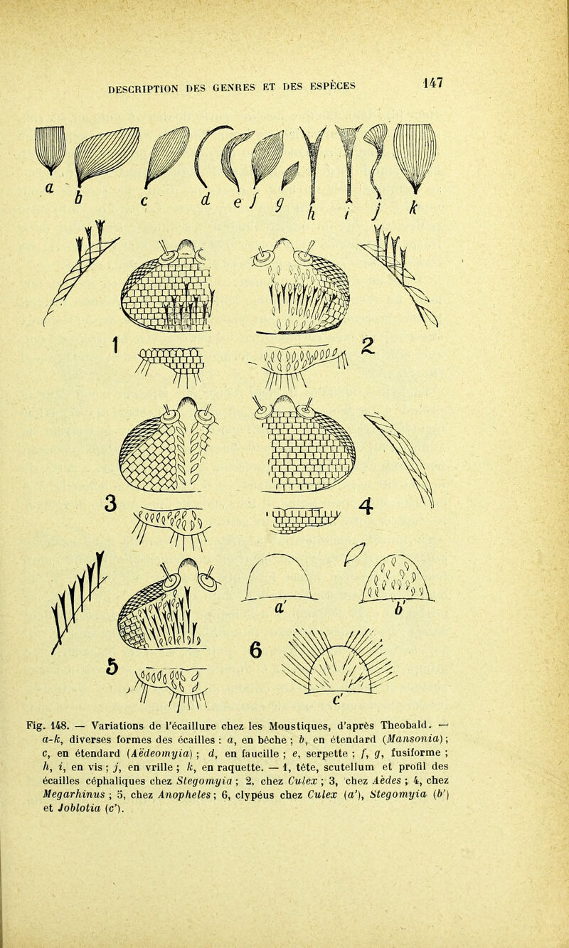 Fig. 148. — Variations de l'écaillure chez les Moustiques, d'après Theobald. — a-k, diverses formes des écailles : a, en bêche ; b, en étendard (Mansonia) ; c, en étendard (Aëdeomyia) ; d, en faucille ; e, serpette ; f, g, fusiforme ; h, i, en vis ; j, en vrille ; k, en raquette. — 1, tête, scutellum et profil des écailles céphaliques chez Stegomyia ; 2, chez Culex ; 3, chez Aèdes ; 4, chez Megarhinus ; o, chez Anophèles; 6, clypéus chez Culex {a'), Stegomyia {b') et Joblotia (c').