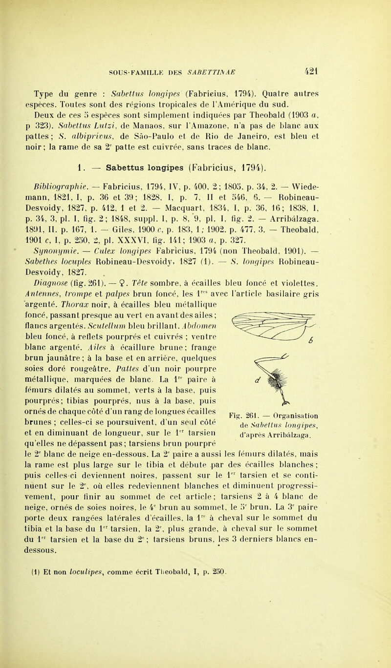 Type du genre : Sabettns longipes (Fabrieius, 1794). Quatre autres espèces. Toutes sont des régions tropicales de l'Amérique du sud. Deux de ces 5 espèces sont simplement indiquées par Theobald (1903 a. p 323). Sabettus Lutzi, de Manaos, sur l'Amazone, n'a pas de blanc aux pattes ; .S', (ilbiprivus, de Sâo-Paulo et de Rio de Janeiro, est bleu et noir; la rame de sa 2' patte est cuivrée, sans traces de blanc. 1 Sabettus longipes (Fabricius, 1794). Bibliographie. — Fabricius, 1794, IV, p. 400, 2 ; 1803, p. 34, 2. — Wiede- mann, 1821, I, p. 36 et 39; 1828, I, p. 7, II et 346, 6. — Robineau- Desvoidy, 1827, p. 412, 1 et 2. — Macquart, 1834, I, p. 36, 16; 1838, I, p. 34, 3, pl. I, fig. 2; 1848, suppl. I, p. 8, 9, pl. I. fig. 2. — Arribâlzaga. 1891, II. p. 167, 1. - Giles, 1900 c, p. 183, 1; 1902, p. 477. 3. - Theobald, 1901 c, I, p. 230, 2, pl. XXXVI, fig. 141; 1903 a, p. 327. Synonymie. — Culex longipes Fabricius, 1794 (non Theobald, 1901). — Sabethes locuples Robineau-Desvoidy, 1827 (1). — .S. longipes Robineau- Desvoidy, 1827. Diagnose (fig.261). — 9. Tête sombre, à écailles bleu foncé et violettes. Antennes, trompe et palpes brun foncé, les 1' avec l'article basilaire gris argenté. Thorax noir, à écailles bleu métallique foncé, passant presque au vert en avant des ailes ; flancs argentés. Scutellum bleu brillant. Abdomen bleu foncé, à reflets pourprés et cuivrés ; ventre blanc argenté. Ailes à écaillure brune; frange brun jaunâtre; à la base et en arrière, quelques soies doré rougeâtre. Pattes d'un noir pourpre métallique, marquées de blanc. La 1 paire à fémurs dilatés au sommet, verts à la base, puis pourprés; tibias pourprés, nus à Ja base, puis ornés de chaque côté d'un rang de longues écailles brunes ; celles-ci se poursuivent, d'un seul côté et en diminuant de longueur, sur le 1 tarsien qu'elles ne dépassent pas; tarsiens brun pourpré le 2' blanc de neige en-dessous. La 2 paire a aussi les fémurs dilatés, mais la rame est plus large sur le tibia et débute par des écailles blanches ; puis celles-ci deviennent noires, passent sur le 1 tarsien et se conti- nrent sur le 2% où elles redeviennent blanches et diminuent progressi- vement, pour finir au sommet de cet article ; tarsiens 2 à 4 blanc de neige, ornés de soies noires, le 4' brun au sommet, le 3' brun. La 3' paire porte deux rangées latérales d'écaillés, la T' à cheval sur le sommet du tibia et la base du 1 tarsien, la 2', plus grande, à cheval sur le sommet du 1' tarsien et la base du 2'' ; tarsiens bruns, les 3 derniers blancs en- dessous. Fig. 261. — Organisation de Sahettus longipes, d'après Arribâlzaga. (1) Et non loculipes, comme écrit Tlieobald, I, p. 250.