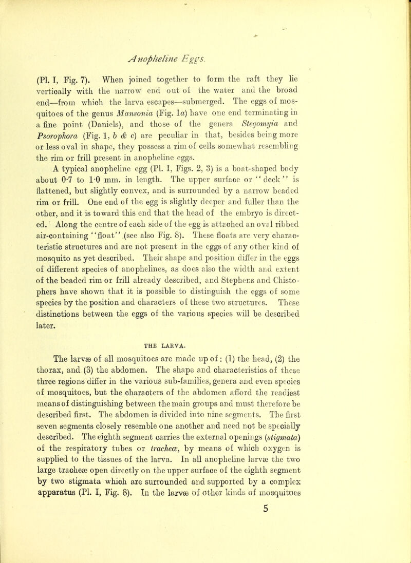 Afiopheline F-gi^s. (PI. I, Fig. 7). When joined together to form the raft they lie vertically with the narrow end out of the water and the broad end—from which the larva escapes—submerged. The eggs of mos- quitoes of the genus Mansonia (Fig. la) have one end terminating in a fine point (Daniels), and those of the genera Stecjomyia and PsoropJiora (Fig. l,b (& c) are pecuhar in that, besides being more or less oval in shape, they possess a rim of cells somewhat resembhi^g the rim or frill present in anopheline eggs. A typical anophehne egg (PI. I, Figs. 2, 3) is a boat-shaped body about 0*7 to 1*0 mm. in length. The upper surface or deck is flattened, but slightly convex, and is surrounded by a narrow beaded rim or frill. One end of the egg is slightly deeper and fuller than the other, and it is toward this end that the head of the embryo is direct- ed. ■ Along the centre of each side of the egg is attached an ova 1 ribbed air-containing float.(see also Fig. 8). These floats are very charac- teristic structures and are not present in the eggs of any other kind of mosquito as yet described. Their shape and position differ in the eggs of different species of anophelines, as does also the width and extent of the beaded rim or frill already described, and Stephens and Chisto- phers have shown that it is possible to distinguish the eggs of some species by the position and characters of these two structures. These distinctions between the eggs of the various species will be described later. THE LARVA. The larvse of all mosquitoes are made upof: (1) the head, (2) the thorax, and (3) the abdomen. The shape and characteristics of these three regions differ in the various sub-famJlies, genera and even species of mosquitoes, but the characters of the abdomen afford the readiest means of distinguishing between the main groups and m.ust therefore be described first. The abdomen is divided into nine segments. The first seven segments closely resemble one another and need not be specially described. The eighth segment carries the external openings {.stigmata) of the respiratory tubes or trachece, by means of which oxygen is supplied to the tissues of the larva. In all anopheline larvse the two large tracheae open directly on the upper surface of the eighth segment by two stigmata which are surrounded and supported by a complex apparatus (PI. I, Fig. 8). In the larvee of other kinds of moscjuitoes 5