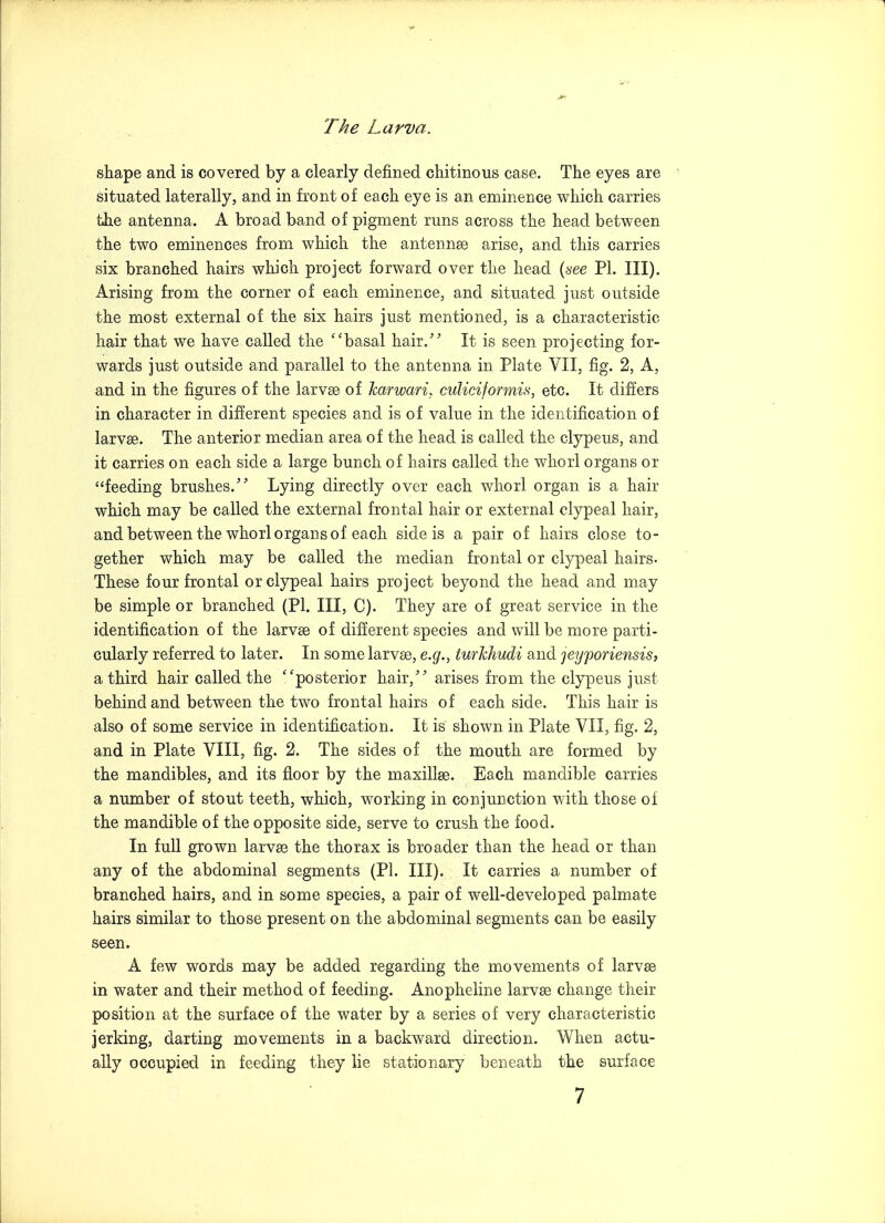 shape and is covered by a clearly defined chitinous case. The eyes are situated laterally, and in front of each eye is an eminence which carries the antenna. A broad band of pigment runs across the head between the two eminences from which the antennae arise, and this carries six branched hairs which project forward over the head (i'ee PI. III). Arising from the corner of each eminence, and situated just outside the most external of the six hairs just mentioned, is a characteristic hair that we have called the basal hair. It is seen projecting for- wards just outside and parallel to the antenna in Plate VII, fig. 2, A, and in the figures of the larvae of harwari. culiciformis, etc. It differs in character in different species and is of value in the identification of larvae. The anterior median area of the head is called the clypeus, and it carries on each side a large bunch of hairs called the whorl organs or feeding brushes. Lying directly over each whorl organ is a hair which may be called the external frontal hair or external clypeal hair, and between the whorl organs of each side is a pair of hairs close to- gether which may be called the median frontal or clypeal hairs- These four frontal or clypeal hairs project beyond the head and may be simple or branched (Pi. Ill, C). They are of great service in the identification of the larvae of different species and will be more parti- cularly referred to later. In so me larvae, e.g., turkhudi and jeyporiensis, a third hair called the ''posterior hair, arises from the clypeus just behind and between the two frontal hairs of each side. This hair is also of some service in identification. It is shown in Plate VII, fig. 2, and in Plate VIII, fig. 2. The sides of the mouth are formed by the mandibles, and its floor by the maxillae. Each mandible carries a number of stout teeth, which, working in conjunction with those of the mandible of the opposite side, serve to crush the food. In full grown larvae the thorax is broader than the head or than any of the abdominal segments (PI. III). It carries a number of branched hairs, and in some species, a pair of well-developed palmate hairs similar to those present on the abdominal segments can be easily seen. A few words may be added regarding the movements of larvae in water and their method of feeding. Anopheline larvae change their position at the surface of the water by a series of very characteristic jerking, darting movements in a backward direction. When actu- ally occupied in feeding they lie stationary beneath the surface