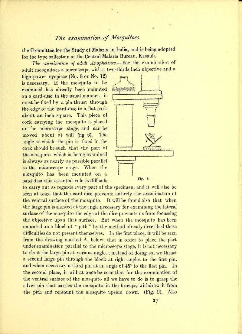 the Committee for the Study of Malaria in India, and is being adopted for the type collection at the Central Malaria Bureau, Kasauli. The examination of adult Anophelines.—Foi the examination of adult mosquitoes a microscope with a two-thirds inch objective and a high power eyepiece (No. 8 or No. 12) is necessary. If the mosquito to be examined has already been mounted on a card-disc in the usual manner, it must be fixed by a pin thrust through the edge of the card-disc to a flat cork about an inch square. This piece of cork carrying the mosquito is placed on the microscope stage, and can be moved about at will (fig. 6). The angle at which the pin is fixed in the cork should be such that the part of the mosquito which is being examined is always as nearly as possible parallel to the microscope stage. When the mosquito has been mounted on a card-disc this essential rule is difficult to carry out as regards every part of the specimen, and it will also be seen at once that the card-disc prevents entirely the examination of the ventral surface of the mosquito. It will be found also that when the large pin is slanted at the angle necessary for examining the lateral surface of the mosquito the edge of the disc prevents us from focussing the objective upon that surface. But when the mosquito has been mounted on a block of  pith  by the method already described these difficulties do not present themselves. In the first place, it will be seen from the drawing marked A, below, that in order to place the part under examination parallel to the microscope stage, it is not necessary to slant the large pin at various angles; instead of doing so, we thrust a second large pin through the block at right angles to the first pin, and when necessary a third pin at an angle of 45° to the first pin. In the second place, it will at once be seen that for the examination of the ventral surface of the mosquito all we have to do is to grasp the silver pin that carries the mosquito in the forceps, withdraw it from the pith and remount the mosquito upside down. (Fig. C). Also