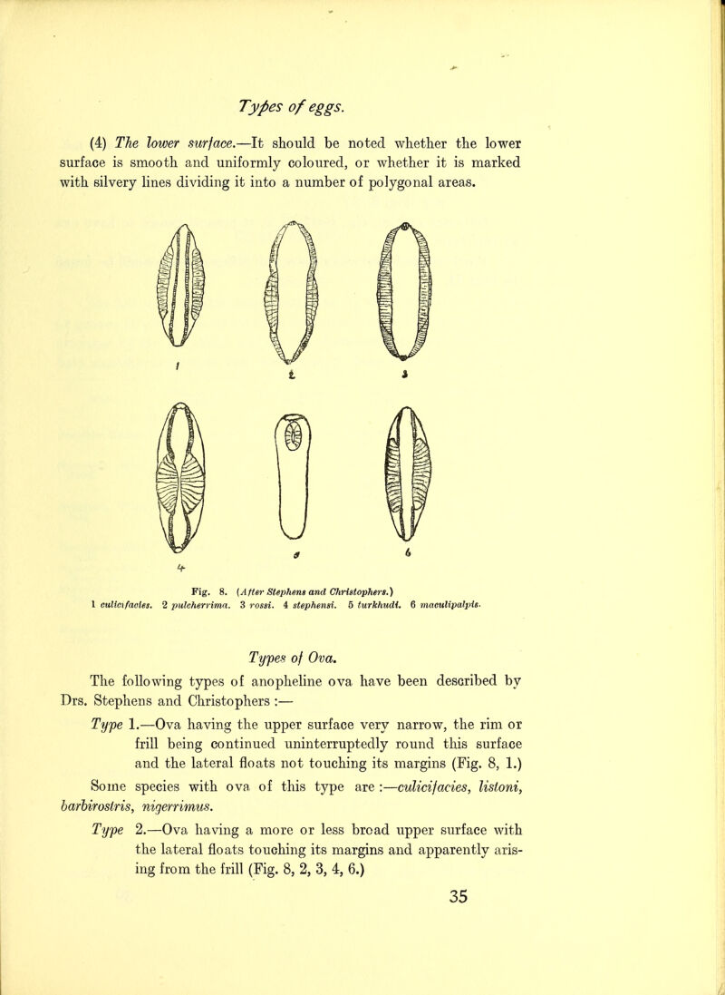 (4) The lower surjace.—It should be noted whether the lower surface is smooth and uniformly coloured, or whether it is marked with silvery lines dividing it into a number of polygonal areas. 1 eulicifaoies. Fig. 8. {After Stephens and Christophers.) 2 pulcherrima. 3 rossi. 4 stephensi. 5 turkhudi. 6 maouHpalpis. Types of Ova. The following types of anopheline ova have been described by Drs. Stephens and Christophers :— Type 1.—Ova having the upper surface very narrow, the rim or frill being continued uninterruptedly round this surface and the lateral floats not touching its margins (Fig. 8, 1.) Some species with ova. of this type are :—culicifacies, Usioni, barbiroslris, nigerrimus. Type 2.—Ova having a more or less broad upper surface with the lateral floats touching its margins and apparently aris- ing from the frill (Fig. 8, 2, 3, 4, 6.)