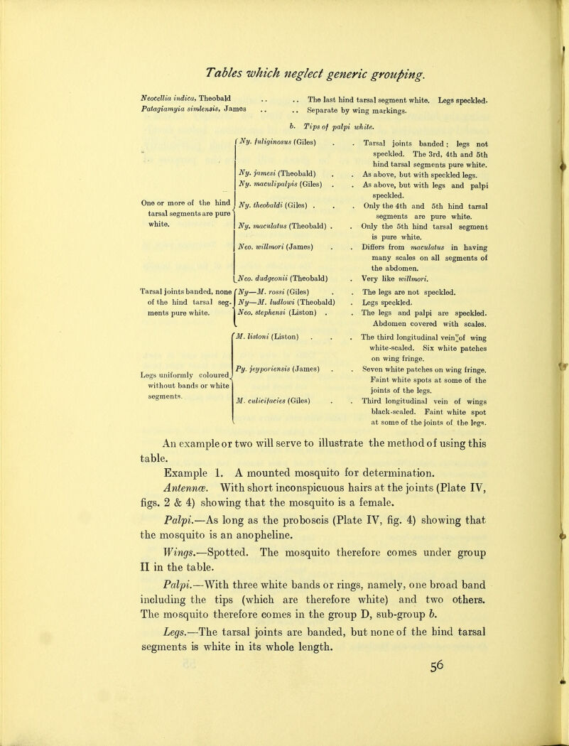 Neoeellia indica, Theobald Patagiamyia simlenais, James The last hind tarsal segment white. Legs speckled. Separate by wing markings. b. Tips of paljn white. One or more of the hind tarsal segments are pure white. f Ny. fuliginosus (Giles) Ny. jamesi (Theobald) Ny. maculipalpis (Giles) Ny. theobaldi (Giles) . Ny, maculatus (Theobald) Neo. willmori (James) Neo. dudgeonii (Theobald) Tarsal joints banded, none [Ny—M. rossi (Giles) of the hind tarsal seg- ments pure white. Ny—M. ludlowi (Theobald) Neo. stephensi (Listen) . 'M. listoni (Listen) Legs uniformly coloured, without bands or white segments. Py. jeyporiensis (James) M. culicifacres (Giles) Tarsal joints banded; legs not speckled. The 3rd, 4th and 5th hind tarsal segments pure white. As above, but with speckled legs. As above, but with legs and palpi speckled. Only the 4th and 5th hind tarsal segments are pure white. Only the 5th hind tarsal segment is pure white. Differs from maculatus in having many scales on all segments of the abdomen. Very like willmori. The legs are not speckled. Legs speckled. The legs and palpi are speckled. Abdomen covered with scales. The third longitudmal vein^of wing white-scaled. Six white patches on wing fringe. Seven white patches on wing fringe. Faint white spots at some of the joints of the legs. Third longitudinal vein of wings black-scaled. Faint white spot at some of the joints of the legs. An example or two will serve to illustrate the method of using this table. Example 1. A mounted mosquito for determination. AntenncB. With short inconspicuous hairs at the joints (Plate IV, figs. 2 & 4) showing that the mosquito is a female. Pal'pi.—As long as the proboscis (Plate IV, fig. 4) showing that the mosquito is an anopheline. Wings.—Spotted. The mosquito therefore comes under group II in the table. Palpi.—With three white bands or rings, namely, one broad band including the tips (which are therefore white) and two others. The mosquito therefore comes in the group D, sub-group b. Legs.—The tarsal joints are banded, but none of the bind tarsal segments is white in its whole length. S6