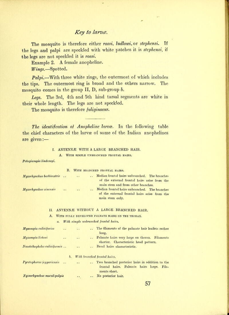 The mosquito is therefore either rossi, ludlowi, or stephensi. If the legs and palpi are speckled with white patches it is stephensi, if the legs are not speckled it is rossi. Example 2. A female anopheline. Wings.—Spotted. Palpi.—With three white rings, the outermost of which includes the tips. The outermost ring is broad and the others narrow. The mosquito comes in the group II, D, sub-group b. Legs. The 3rd, ith. and 5th hind tarsal segments are white in their whole length. The legs are not speckled. The mosquito is therefore fuUginosus. The identifjxition of Anopheline larvce. In the following table the chief characters of the larvse of some of the Indian anophelines are given:— I. ANTENNA WITH A LARGE BRANCHED HAIR. A. With simple unbeanched frontal hairs. Patagiamyia lindesayi. B. With branched frontal hairs. Myzorhynchus barhirostris ,. .. .. Median frontal hairs unbranched. The branches of the external frontal hairs arise from the main stem and from other branches. Myzorhynchus sinensis .. .. .. Median frontal hairs unbranched. The branches of the external frontal hairs arise from the main stem only. II. ANTENNA WITHOUT A LARGE BRANCHED HAIR. A. With fully developed palmate hairs on the thorax. a. With simple unbranched frontal hairs. Myzomyia culicifacies .. .. .. The filaments of the palmate hair leaflets rather long. Myzomyia lisioni .. .. .. Palmate hairs very large on thorax. Filaments shorter. Characteristic head pattern. Neostethopheles culicijormis .. .. .. Basal hairs characteristic. h. With branched frontal hairs. Pyretophoncs jeyporiemis .. .. .. Two branched posterior hairs in addition to the frontal hairs. Palmate hairs large. Fila- ments short. Nyssorhynchus maculipalpis .. .. No posterior hair.