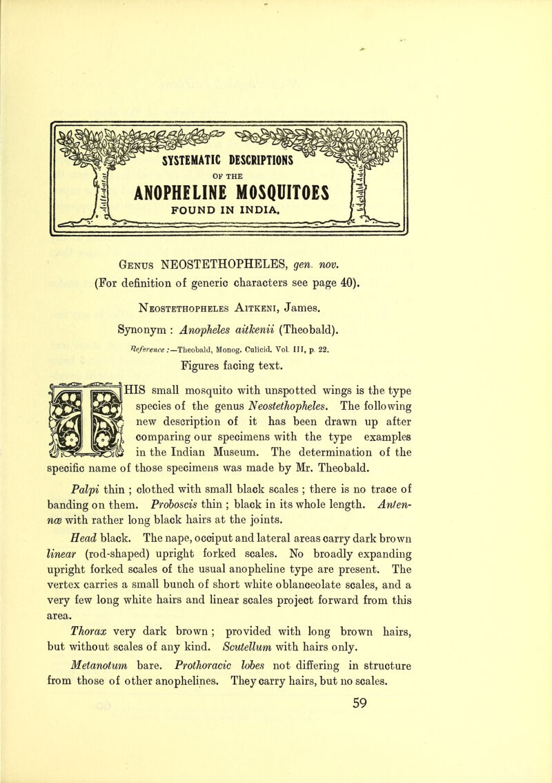 SYSTEMATIC DESCRIPTIONS OF THE ANOPHELINE MOSQUITOES FOUND IN INDIA. Genus NEOSTETHOPHELES, gen. nov. (For definition of generic characters see page 40). NeOSTETHOPHBLES AlTKENI, JamGs. Synonym : Anopheles aithenii (Theobald). i^e/wMee .•—Theobald, Monog. Culicid. Vol III, p. 22. Figures facing text. HIS small mosquito with unspotted wings is the type species of the genus Neostethopheles. The following new description of it has been drawn up after comparing our specimens with the type examples in the Indian Museum. The determination of the specific name of those specimens was made by Mr. Theobald. Palpi thin ; clothed with small black scales ; there is no trace of banding on them. Proboscis thin ; black in its whole length. Anfen- ncB with rather long black hairs at the joints. Head black. The nape, occiput and lateral areas carry dark brown liyiear (rod-shaped) upright forked scales. No broadly expanding upright forked scales of the usual anopheline type are present. The vertex carries a small bunch of short white oblanceolate scales, and a very few long white hairs and linear scales project forward from this area. Thorax very dark brown; provided with long brown hairs, but without scales of any kind. Scutellum with hairs only. Metanotum bare. Prothoracic lobes not differing in structure from those of other anophelines. They carry hairs, but no scales.