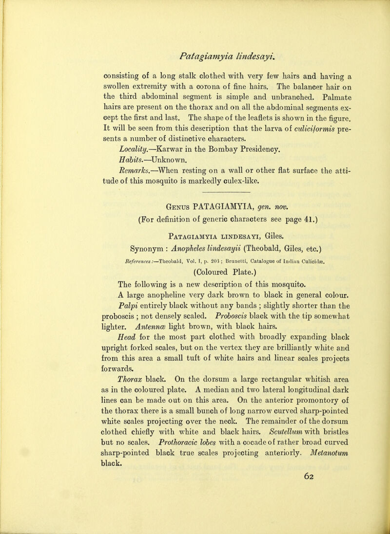 consisting of a long stalk clothed with very few hairs and having a swollen extremity with a corona of fine hairs. The balancer hair on the third abdominal segment is simple and unbranched. Palmate hairs are present on the thorax and on all the abdominal segments ex- cept the first and last. The shape of the leaflets is shown in the figure. It will be seen from this description that the larva of culicijormis pre- sents a number of distinctive characters. Locality.—^Karwar in the Bombay Presidency. Habits.—Unknown. Remarks.—When resting on a wall or other flat surface the atti- tude of this mosquito is markedly culex-like. Genus PATAGIAMYIA, gen. nov. (For definition of generic characters see page 4l.) Patagiamyia lindesayi, Giles. Synonym : Anopheles lindesayii (Theobald, Giles, etc.) References:—Theobald, Vol. I, p. 203 ; Brunetti, Catalogue of Indian Culicids. (Coloured Plate.) The following is a new description of this mosquito. A large anopheline very dark brown to black in general colour. Palpi entirely black without any bands ; slightly shorter than the proboscis ; not densely scaled. Proboscis black with the tip somewhat lighter. Antennae light brown, with black hairs. Head for the most part clothed with broadly expanding black upright forked scales, but on the vertex they are brilliantly white and from this area a small tuft of white hairs and linear scales projects forwards. Thorax black. On the dorsum a large rectangular whitish area as in the coloured plate. A median and two lateral longitudinal dark lines can be made out on this area. On the anterior promontory of the thorax there is a small bunch of long narrow curved sharp-pointed white scales projecting over the neck. The remainder of the dorsum clothed chiefly with white and black hairs. Scutellum with bristles but no scales. Prothoracic lobes with a cocadeof rather broad curved sharp-pointed black true scales projecting anteriorly. Metanotum black.