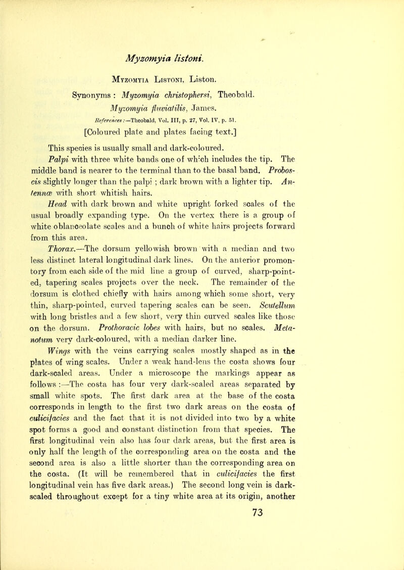 Myzomyia Listoni, Liston. Synonyms : Myzomyia ckristo'phersi, Theobald. Myzomyia fl.uviafilis, James. Beferences .■—Theoba.ld, Vol. Ill, p. 27, Vol. IV, p. 51. [Coloured plate and plates facing text.] This species is usually small and dark-coloured. Palpi with three white bands one of wh:ch includes the tip. The middle band is nearer to the terminal than to the basal band. Probos- cis slightly longer than the palpi ; dark brown with a lighter tip. An- fenncB with short whitish hairs. Head with dark brown and white upright forked scales of the usual broadly expanding type. On the vertex there is a group of white oblanceolate scales and a bunch of white hairs projects forward from this area. Thorax.—The dorsum yellowish brown with a median and two less distinct lateral longitudinal dark lines. On the anterior promon- tory from each side of the mid line a group of curved, sharp-point- ed, tapering scales projects over the neck. The remainder of the dorsum is clothed chiefly with hairs among which some short, very thin, sharp-pointed, curved tapering scales can be seen. Scutellum with long bristles and a few short, very thin curved scales like those on the dorsum. Prothoracic lobes with hairs, but no scales. Mela- nofum very dark-coloured, with a median darker line. Wings with the veins carrying scales mostly shaped as in the plates of wing scales. Under a weak hand-lens the costa shows four dark-scaled areas. Under a microscope the markings appear as follows :—The costa has four very dai'k-scaled areas separated by small white spots. The first dark area at the base of the costa corresponds in length to the first two dark areas on the costa of culicifacies and the fact that it is not divided into two by a white spot forms a good and constant distinction from that species. The first longitudinal vein also has four dark areas, but the first area is only half the length of the corresponding area on the costa and the second area is also a little shorter than the corresponding area on the costa. (It will be remembered that in culicifacies the first longitudinal vein has five dark areas.) The second long vein is dark- scaled throughout except for a tiny white area at its origin, another