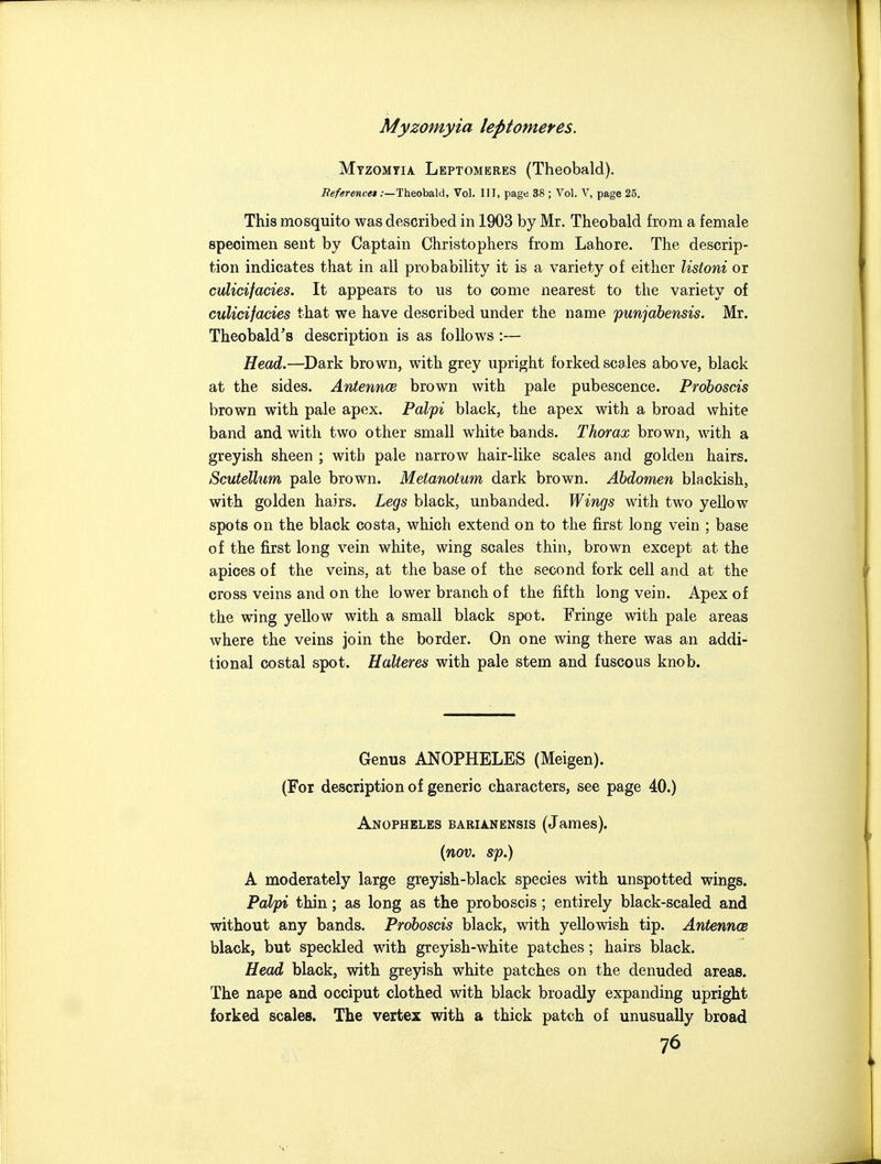 Myzomyia leptomeres. Myzomtia Leptom (Theobald). Beferencet .-—Theobald, Vol. Ill, page 38 ; Vol. V, page 25. This mosquito was described in 1903 by Mr. Theobald from a female specimen sent by Captain Christophers from Lahore. The descrip- tion indicates that in all probability it is a variety of either listoni or culicifacies. It appears to us to come nearest to the variety of culicifacies that we have described under the name punjabensis. Mr. Theobald's description is as follows :— Head.—Dark brown, with grey upright forked scales above, black at the sides. Antennae brown with pale pubescence. Proboscis brown with pale apex. Palpi black, the apex with a broad white band and with two other small white bands. Thorax brown, with a greyish sheen ; with pale narrow hair-like scales and golden hairs. Scutellum pale brown. Meianotum dark brown. Abdomen blackish, with golden hairs. Legs black, unhanded. Wings with two yellow spots on the black costa, which extend on to the first long vein ; base of the first long vein white, wing scales thin, brown, except at the apices of the veins, at the base of the second fork cell and at the cross veins and on the lower branch of the fifth long vein. Apex of the wing yellow with a small black spot. Fringe with pale areas where the veins join the border. On one wing there was an addi- tional costal spot. Halteres with pale stem and fuscous knob. Genus ANOPHELES (Meigen). (For description of generic characters, see page 40.) Anopheles barianensis (James). {nov. sp.) A moderately large greyish-black species with unspotted wings. Palpi thin; as long as the proboscis; entirely black-scaled and without any bands. Proboscis black, with yellowish tip. AntenncB black, but speckled with greyish-white patches; hairs black. Head black, with greyish white patches on the denuded areas. The nape and occiput clothed with black broadly expanding upright forked scales. The vertex with a thick patch of unusually broad