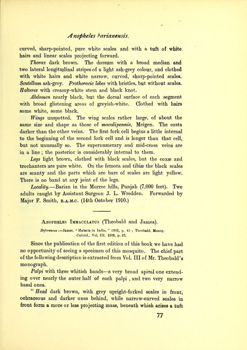 Anopheles harianensis. curved, sharp-pointed, pure white scales and with a tuft of white hairs and linear scales projecting forward. TTiorax dark brown. The dorsum with a broad median and two lateral longitu;dinal stripes of a light ash-grey colour, and clothed with white hairs and white narrow, curved, sharp-pointed scales. Scutellum ash-grey. Prothoracic lobes with bristles, but without scales. Halteres with creamy-white stem and black knot. Abdomen nearly black, but the dorsal surface of each segment with broad glistening areas of greyish-white. Clothed with hairs some white, some black. Wings unspotted. The wing scales rather large, of about the same size and shape as those of maadi'pennis, Meigen. The costa darker than the other veins. The first fork cell begins a Uttle internal to the beginning of the second fork cell and is longer than that cell, but not unusually so. The supernumerary and mid-cross veins are in a line ; the posterior is considerably internal to them. Legs light brown, clothed with black scales, but the coxae and trochanters are pure white. On the femora and tibise the black scales are scanty and the parts which are bare of scales are hght yellow. There is no band at any joint of the legs. Locality.—Barian in the Murree hills, Punjab (7,000 feet). Two adults caught by Assistant Surgeon J. L. Wredden. Forwarded by Major F. Smith, r.a.m.c. (14th October 1910.) Anopheles Immaculatus (Theobald and James). References:—James,  Malaria in India, 1902, p. 45 ; Theobald, Monog. Culicid., Vol. Ill, 1903, p. 23. Since the publication of the first edition of this book we have had no opportunity of seeing a specimen of this mosquito. The chief part of the following description is extracted from Vol. Ill of Mr. Theobald's monograph. Palfi with three whitish bands—a very broad apioal one extend- ing over nearly the outer half of each palpi , and two very narrow basal ones.  Head dark brown, with grey upright-forked scales in front, ochraceous and darker ones behind, while narrow-curved scales in front form a more or less projecting mass, beneath which arises a tuft