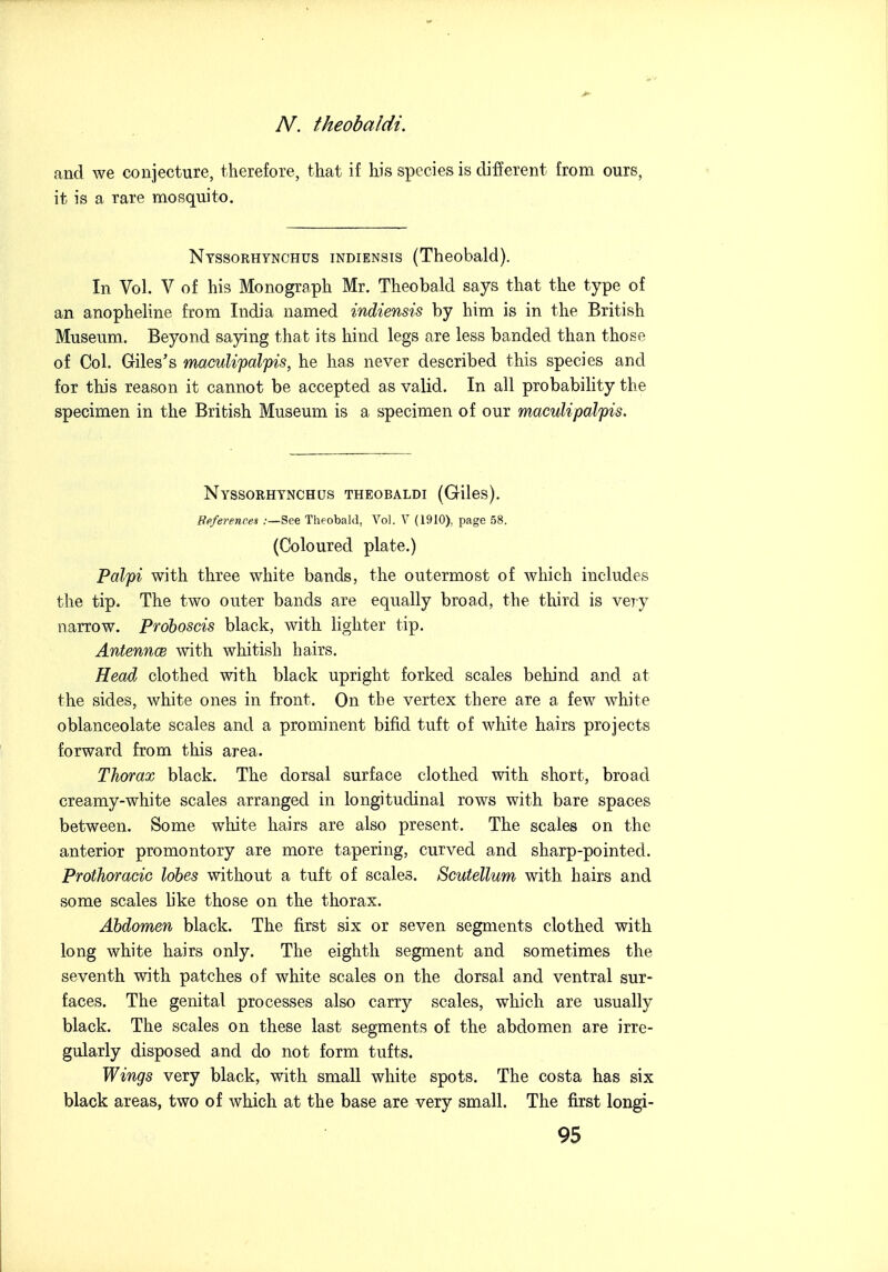 A^. theobaldi. and we conjecture, therefore, that if his species is different from ours, it is a Tare mosquito. Ntssorhynchus indiensis (Theobald). In Vol. V of his Monograph Mr. Theobald says that the type of an anopheline from India named indiensis by him is in the British Museum. Beyond saying that its hind legs are less banded than those of Col. Giles's maculipalpis, he has never described this species and for this reason it cannot be accepted as valid. In all probabihty the specimen in the British Museum is a specimen of our maculipalpis. Nyssorhtnchos theobaldi (Giles). Bfiferencen .-—See Theobald, Vol. V (1910), page 58. (Coloured plate.) Pal'pi with three white bands, the outermost of which includes the tip. The two outer bands are equally broad, the third is veiy narrow. Proboscis black, with lighter tip. AntenncB with whitish hairs. Head clothed with black upright forked scales behind and at the sides, white ones in front. On the vertex there are a few white oblanceolate scales and a prominent bifid tuft of white hairs projects forward from this area. Thorax black. The dorsal surface clothed with short, broad creamy-white scales arranged in longitudinal rows with bare spaces between. Some white hairs are also present. The scales on the anterior promontory are more tapering, curved and sharp-pointed. Prothoracic lobes without a tuft of scales. Scutellum with hairs and some scales like those on the thorax. Abdomen black. The first six or seven segments clothed with long white hairs only. The eighth segment and sometimes the seventh with patches of white scales on the dorsal and ventral sur- faces. The genital processes also carry scales, which are usually black. The scales on these last segments of the abdomen are irre- gularly disposed and do not form tufts. Wings very black, with small white spots. The costa has six black areas, two of which at the base are very small. The first longi-