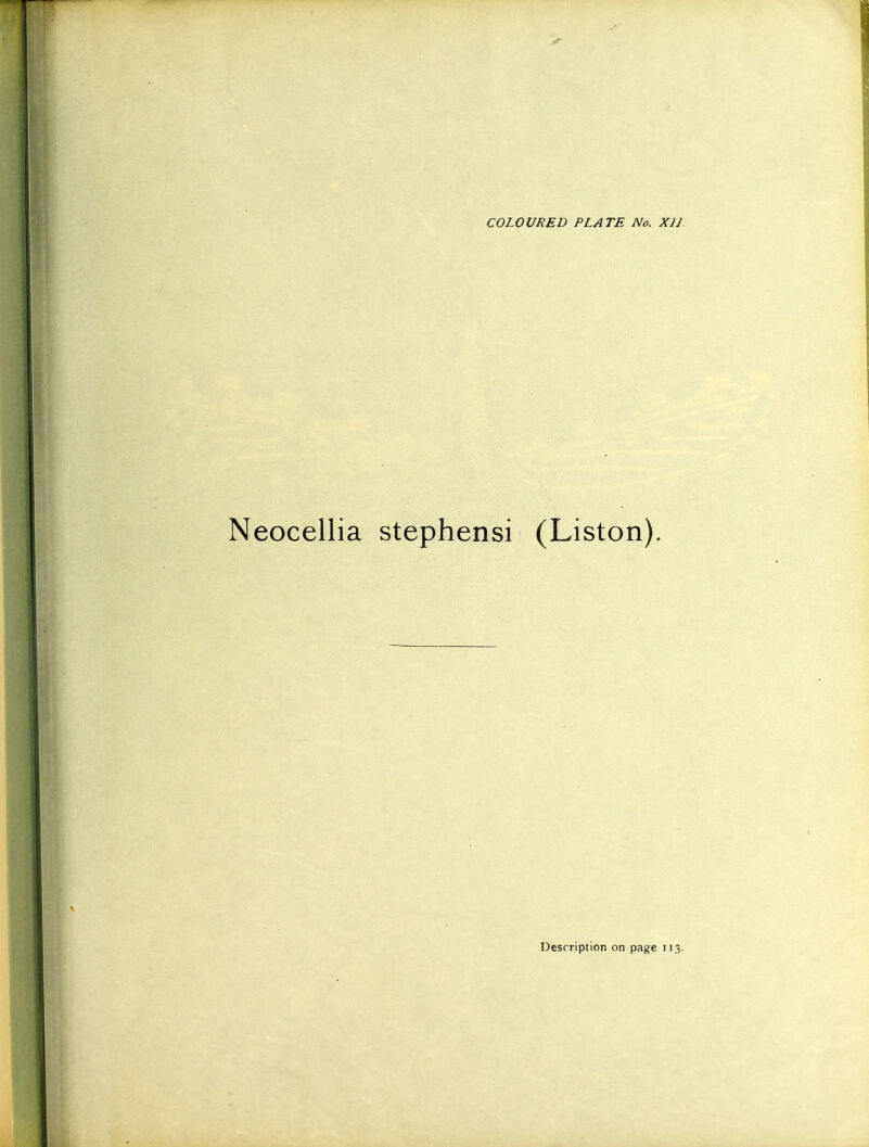 Neocellia Stephens! (Liston).