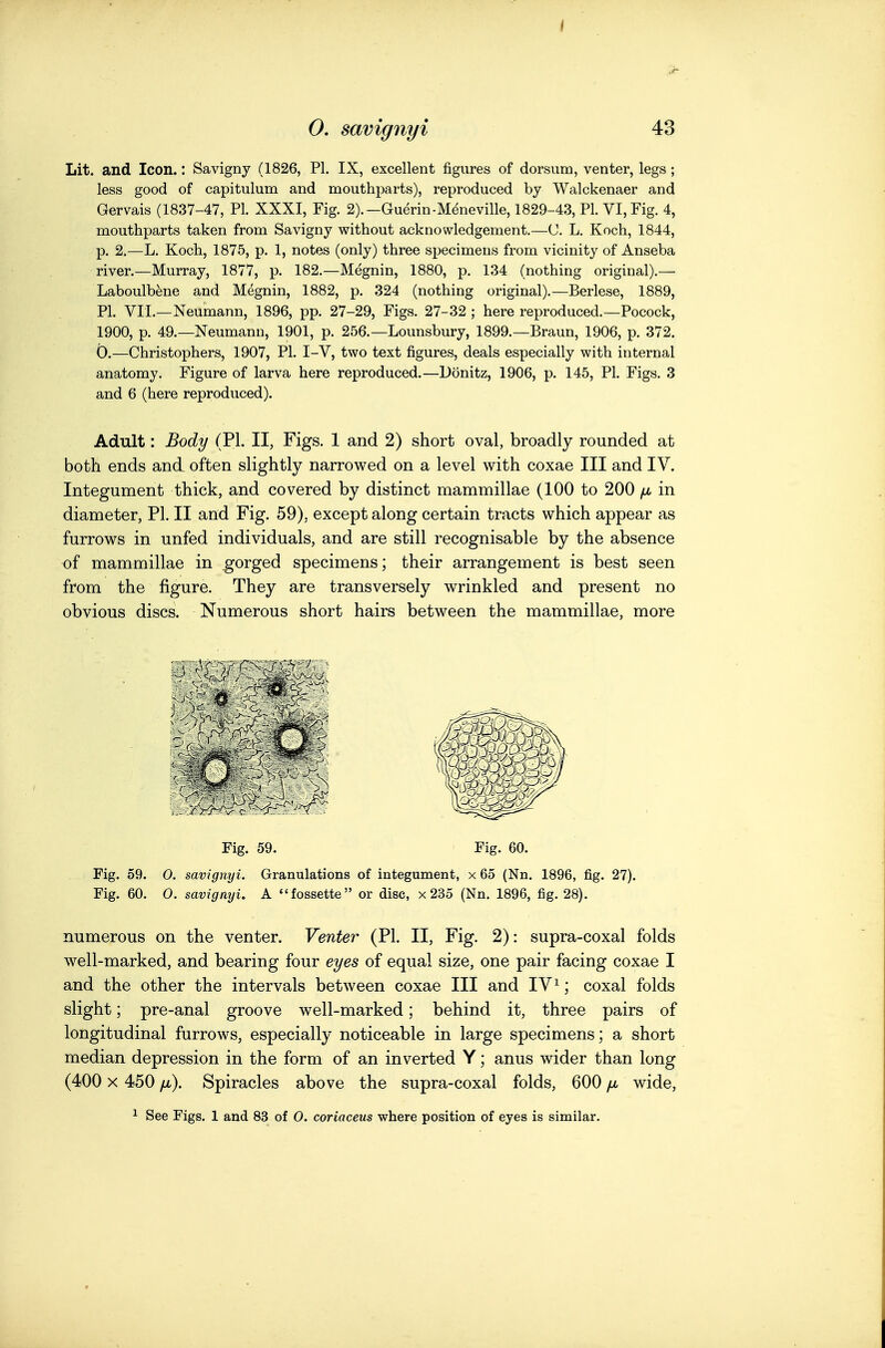 Lit. and Icon.: Savignj (1826, PI. IX, excellent figures of dorsum, venter, legs; less good of capitulum and mouthparts), reproduced bj Walckenaer and Gervais (1837-47, PI. XXXI, Fig. 2).-Guerin-M^neville, 1829-43, PL VI, Fig. 4, mouthparts taken from Savigny without acknowledgement.—C. L. Koch, 1844, p. 2.—L. Koch, 1875, p. 1, notes (only) three s^jecimens from vicinity of Anseba river.—Murray, 1877, p. 182.—Megnin, 1880, p. 134 (nothing original).— Laboulb^ne and Megnin, 1882, p. 324 (nothing original).—Berlese, 1889, PI. VII.—Neumann, 1896, pp. 27-29, Figs. 27-32 ; here reproduced.—Pocock, 1900, p. 49.—Neumann, 1901, p. 256.—Lounsbury, 1899.—Braun, 1906, p. 372. 0.—Christophers, 1907, PI. I-V, two text figures, deals especially with internal anatomy. Figure of larva here reproduced.—Donitz, 1906, p. 145, PI. Figs. 3 and 6 (here reproduced). Adult: Body (PL II, Figs. 1 and 2) short oval, broadly rounded at both ends and often slightly narrowed on a level with coxae III and IV. Integument thick, and covered by distinct mammillae (100 to 200 [m in diameter, PI. II and Fig. 59), except along certain tracts which appear as furrows in unfed individuals, and are still recognisable by the absence of mammillae in gorged specimens; their arrangement is best seen from the figure. They are transversely wrinkled and present no obvious discs. Numerous short hairs between the mammillae, more Fig. 59. Fig. 60. Fig. 59. 0. savignyi. Granulations of integument, x 65 (Nn. 1896, fig. 27). Fig. 60. 0. savignyi. A fossette or disc, x 235 (Nn. 1896, fig. 28). numerous on the venter. Venter (PI. II, Fig. 2): supra-coxal folds well-marked, and bearing four eyes of equal size, one pair facing coxae I and the other the intervals between coxae III and IV^; coxal folds slight; pre-anal groove well-marked; behind it, three pairs of longitudinal furrows, especially noticeable in large specimens; a short median depression in the form of an inverted Y; anus wider than long (400 X 450 fx). Spiracles above the supra-coxal folds, 600 fji wide, ^ See Figs. 1 and 83 of 0. coriaceus where position of eyes is similar.