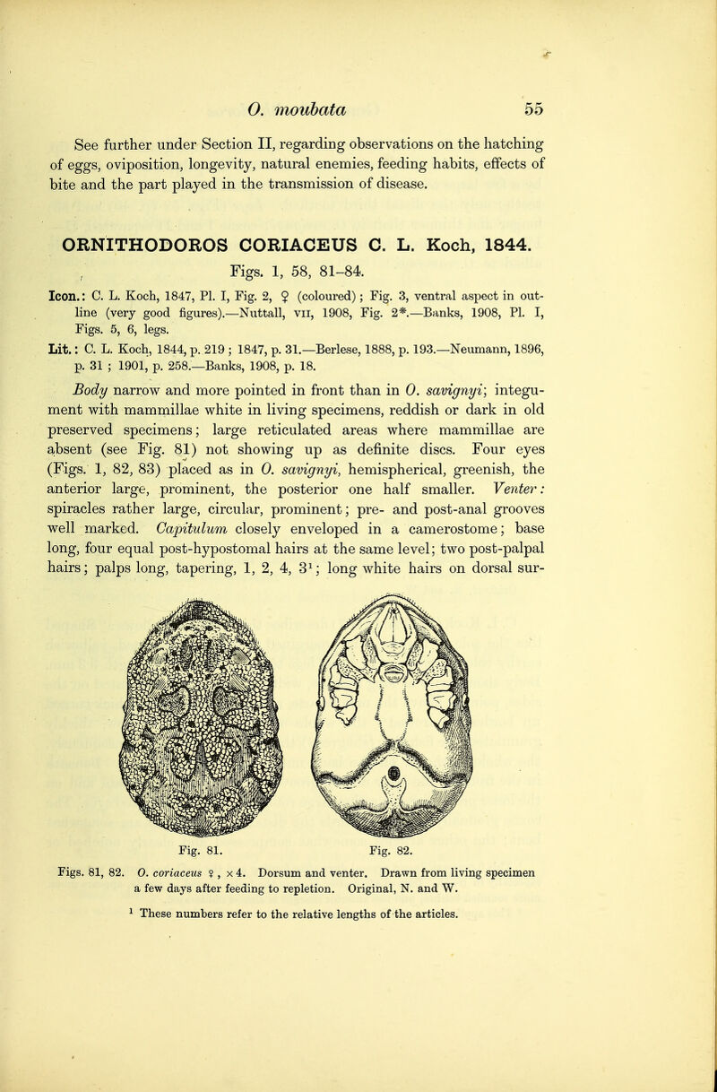 See further under Section II, regarding observations on the hatching of eggs, oviposition, longevity, natural enemies, feeding habits, effects of bite and the part played in the transmission of disease. ORNITHODOROS CORIACEUS C. L. Koch, 1844. Figs. 1, 58, 81-84. Icon.: C. L. Koch, 1847, PI. I, Fig. 2, 9 (coloured); Fig. 3, ventral aspect in out- line (very good figures).—Nuttall, vii, 1908, Fig. 2*.—Banks, 1908, PI. I, Figs. 5, 6, legs. Lit.: C. L. Koch, 1844, p. 219 ; 1847, p. 31.—Berlese, 1888, p. 193.—Neumann, 1896, p. 31 ; 1901, p. 258.—Banks, 1908, p. 18. Body narrow and more pointed in front than in 0. savignyi; integu- ment with mammillae white in living specimens, reddish or dark in old preserved specimens; large reticulated areas where mammillae are absent (see Fig. 81) not showing up as definite discs. Four eyes (Figs. 1, 82, 83) placed as in 0. savignyi, hemispherical, greenish, the anterior large, prominent, the posterior one half smaller. Venter: spiracles rather large, circular, prominent; pre- and post-anal grooves well marked. Capitulum closely enveloped in a camerostome; base long, four equal post-hypostomal hairs at the same level; two post-palpal hairs; palps long, tapering, 1, 2, 4, 3^; long white hairs on dorsal sur- Fig. 81. Fig. 82. Figs. 81, 82. O. coriaceus ? , x 4. Dorsum and venter. Drawn from living specimen a few days after feeding to repletion. Original, N. and W. ^ These numbers refer to the relative lengths of the articles.