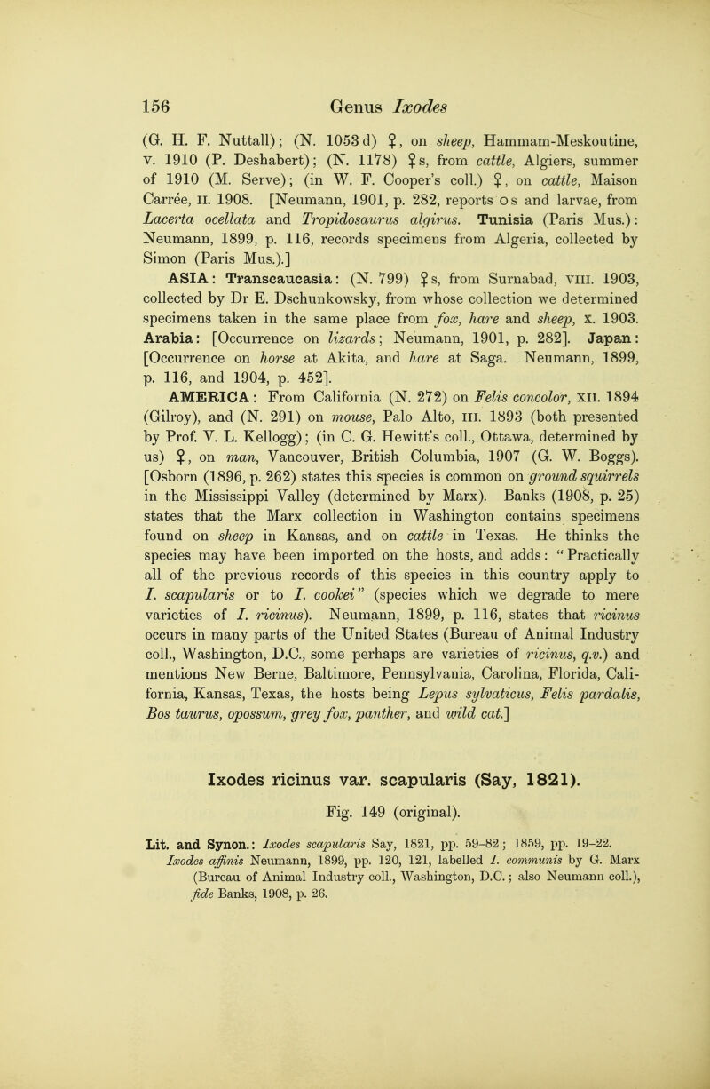 (G. H. F. Nuttall); (N. 1053 d) on sheep, Hammam-Meskoutine, V. 1910 (P. Deshabert); (N. 1178) ?s, from cattle, Algiers, summer of 1910 (M. Serve); (in W. F. Cooper's coll.) $, on cattle, Maison Carree, ii. 1908. [Neumann, 1901, p. 282, reports os and larvae, from Lacerta ocellata and Tropidosaurus algirus. Tunisia (Paris Mus.): Neumann, 1899, p. 116, records specimens from Algeria, collected by Simon (Paris Mus.).] ASIA: Transcaucasia: (N. 799) % s, from Surnabad, viii. 1903, collected by Dr E. Dschunkowsky, from whose collection we determined specimens taken in the same place from fox, hare and sheep, x. 1903. Arabia: [Occurrence on lizards', Neumann, 1901, p. 282]. Japan: [Occurrence on horse at Akita, and hare at Saga. Neumann, 1899, p. 116, and 1904, p. 452]. AMERICA: From California (N. 272) on Felis concolor, xii. 1894 (Gilroy), and (N. 291) on mouse, Palo Alto, ill. 1893 (both presented by Prof. V. L. Kellogg); (in C. G. Hewitt's coll., Ottawa, determined by us) on man, Vancouver, British Columbia, 1907 (G. W. Boggs). [Osborn (1896, p. 262) states this species is common on ground squirrels in the Mississippi Valley (determined by Marx). Banks (1908, p. 25) states that the Marx collection in Washington contains specimens found on sheep in Kansas, and on cattle in Texas. He thinks the species may have been imported on the hosts, and adds:  Practically all of the previous records of this species in this country apply to /. scapularis or to I. cookei (species which we degrade to mere varieties of /. ricinus). Neumiann, 1899, p. 116, states that ricinus occurs in many parts of the United States (Bureau of Animal Industry coll., Washington, D.C., some perhaps are varieties of ricinus^ q.v.) and mentions New Berne, Baltimore, Pennsylvania, Carolina, Florida, Cali- fornia, Kansas, Texas, the hosts being Lepus sylvaticus, Felis pardalis, Bos taurus, opossum, grey fox, panther, and wild cat] Ixodes ricinus var. scapularis (Say, 1821). Fig. 149 (original). Lit. and Synon.: Ixodes scapularis Say, 1821, pp. 59-82; 1859, pp. 19-22. Ixodes ajfflnis Neumann, 1899, pp. 120, 121, labelled /. communis by G. Marx (Bureau of Animal Industry coll., Washington, D.C.; also Neumann coll.), fide Banks, 1908, p. 26.