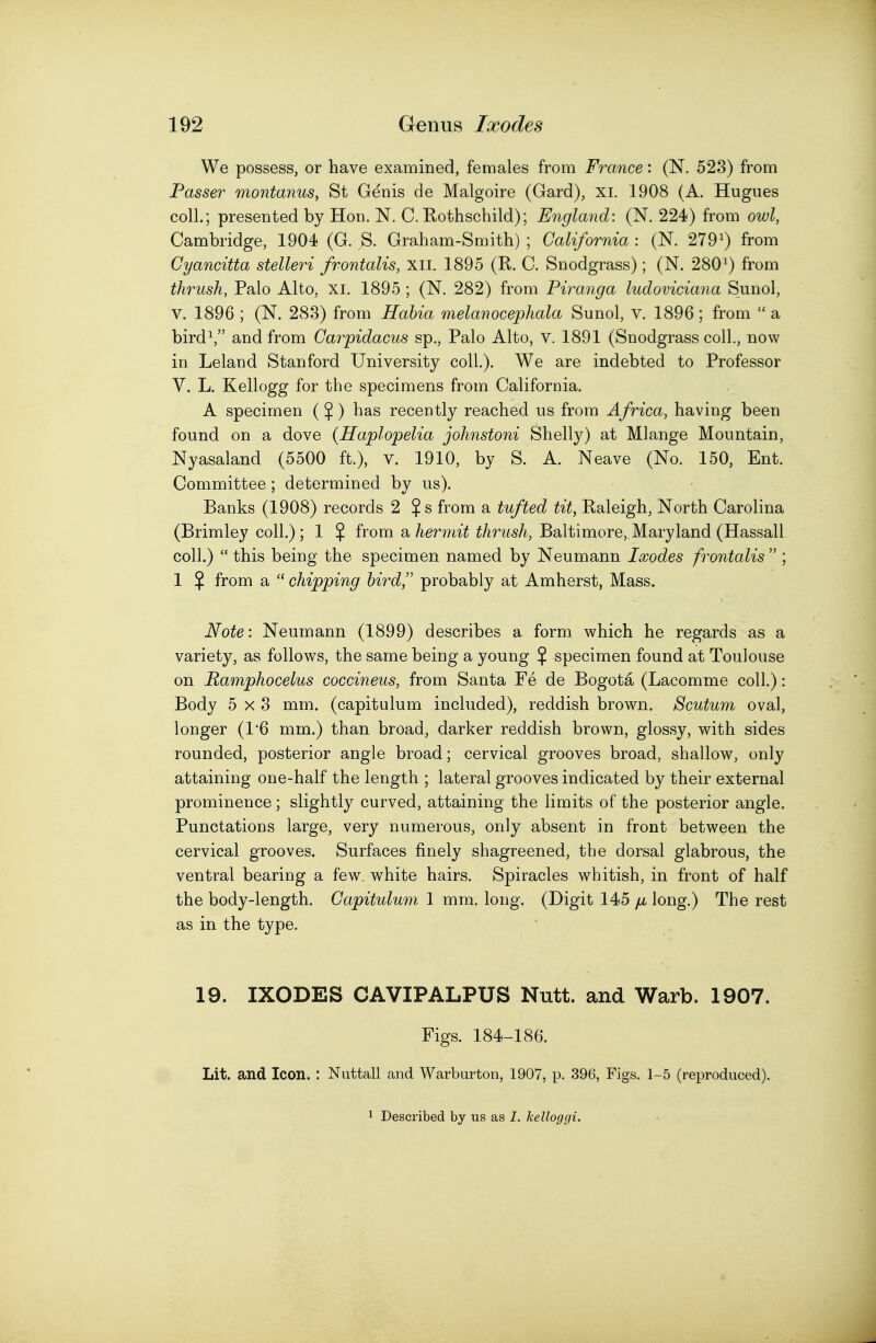 We possess, or have examined, females from France: (N. 523) from Passer montanus, St Genis de Malgoire (Gard), xi. 1908 (A. Hugues coll.; presented by Hon. N. C. Rothschild); England: (N. 224?) from owl, Cambridge, 1904 (G. S. Graham-Smith) ; California : (N. 279^ from Cyancitta stelleri frontalis, xii. 1895 (R. C. Snodgrass); (N. 280^) from thrush, Palo Alto, xi. 1895 ; (N. 282) from Piranga ludoviciana Sunol, V. 1896 ; (N. 283) from Habia melanocephala Sunol, v. 1896; from  a bird^ and from Carpidacus sp., Palo Alto, v. 1891 (Snodgrass coll., now in Leland Stanford University coll.). We are indebted to Professor V. L. Kellogg for the specimens from California. A specimen ($) has recently reached us from Africa, having been found on a dove {Haplopelia johnstoni Shelly) at Mlange Mountain, Nyasaland (5500 ft.), v. 1910, by S. A. Neave (No. 150, Ent. Committee ; determined by us). Banks (1908) records 2 $ s from a tufted tit, Raleigh, North Carolina (Brimley coll.) ; 1 $ from a/tenm^ ^Ar'i^sA, Baltimore, Maryland (Hassall coll.)  this being the specimen named by Neumann Ixodes frontalis  ; 1 % from a  chipping bird,'' probably at Amherst, Mass. Note: Neumann (1899) describes a form which he regards as a variety, as follows, the same being a young % specimen found at Toulouse on Ramphocelus coccineus, from Santa Fe de Bogota (Lacomme coll.): Body 5x3 mm. (capitulum included), reddish brown. Scutum oval, longer (1*6 mm.) than broad, darker reddish brown, glossy, with sides rounded, posterior angle broad; cervical grooves broad, shallow, only attaining one-half the length ; lateral grooves indicated by their external prominence; slightly curved, attaining the limits of the posterior angle. Punctations large, very numerous, only absent in front between the cervical grooves. Surfaces finely shagreened, the dorsal glabrous, the ventral bearing a few. white hairs. Spiracles whitish, in front of half the body-length. Capitulum 1 mm. long. (Digit 145 //, long.) The rest as in the type. 19. IXODES CAVIPALPUS Nutt. and Warb. 1907. Figs. 184-186. Lit. and Icon. : Nuttall and Warburton, 1907, p. 396, Figs. 1-5 (reproduced). 1 Described by us as I. kelloggi.