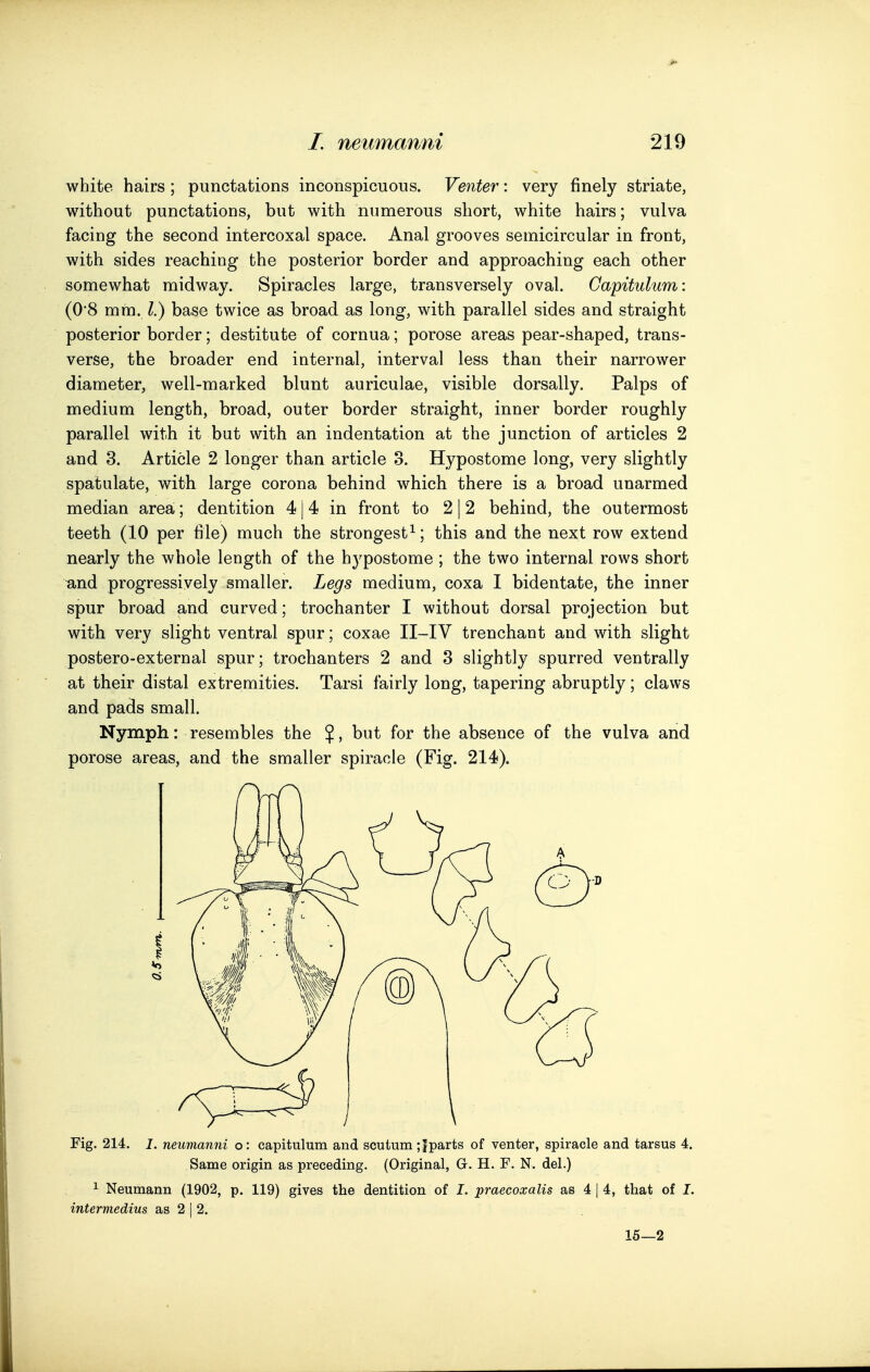 white hairs ; punctations inconspicuous. Venter: very finely striate, without punctations, but with numerous short, white hairs; vulva facing the second intercoxal space. Anal grooves semicircular in front, with sides reaching the posterior border and approaching each other somewhat midway. Spiracles large, transversely oval. Gapitulum: (O'S mm. I.) base twice as broad as long, with parallel sides and straight posterior border; destitute of cornua; porose areas pear-shaped, trans- verise, the broader end internal, interval less than their narrower diameter, well-marked blunt auriculae, visible dorsally. Palps of medium length, broad, outer border straight, inner border roughly parallel with it but with an indentation at the junction of articles 2 and 3. Article 2 longer than article 3. Hypostome long, very slightly spatulate, with large corona behind which there is a broad unarmed median areai; dentition 414 in front to 21 2 behind, the outermost teeth (10 per file) much the strongest^; this and the next row extend nearly the whole length of the hj^postome ; the two internal rows short and progressively smaller. Legs medium, coxa I bidentate, the inner spur broad and curved; trochanter I without dorsal projection but with very slight ventral spur; coxae II-IV trenchant and with slight postero-external spur; trochanters 2 and 3 slightly spurred ventrally at their distal extremities. Tarsi fairly long, tapering abruptly; claws and pads small. Nymph: resembles the $, but for the absence of the vulva and porose areas, and the smaller spiracle (Fig. 214). Fig. 214. I. neumanni o: capitulum and scutum; Mparts of venter, spiracle and tarsus 4. Same origin as preceding. (Original, G. H. F. N. del.) ^ Neumann (1902, p. 119) gives the dentition of I. praecoxalis as 4 | 4, that of I. intermedins as 2 I 2. 15—2