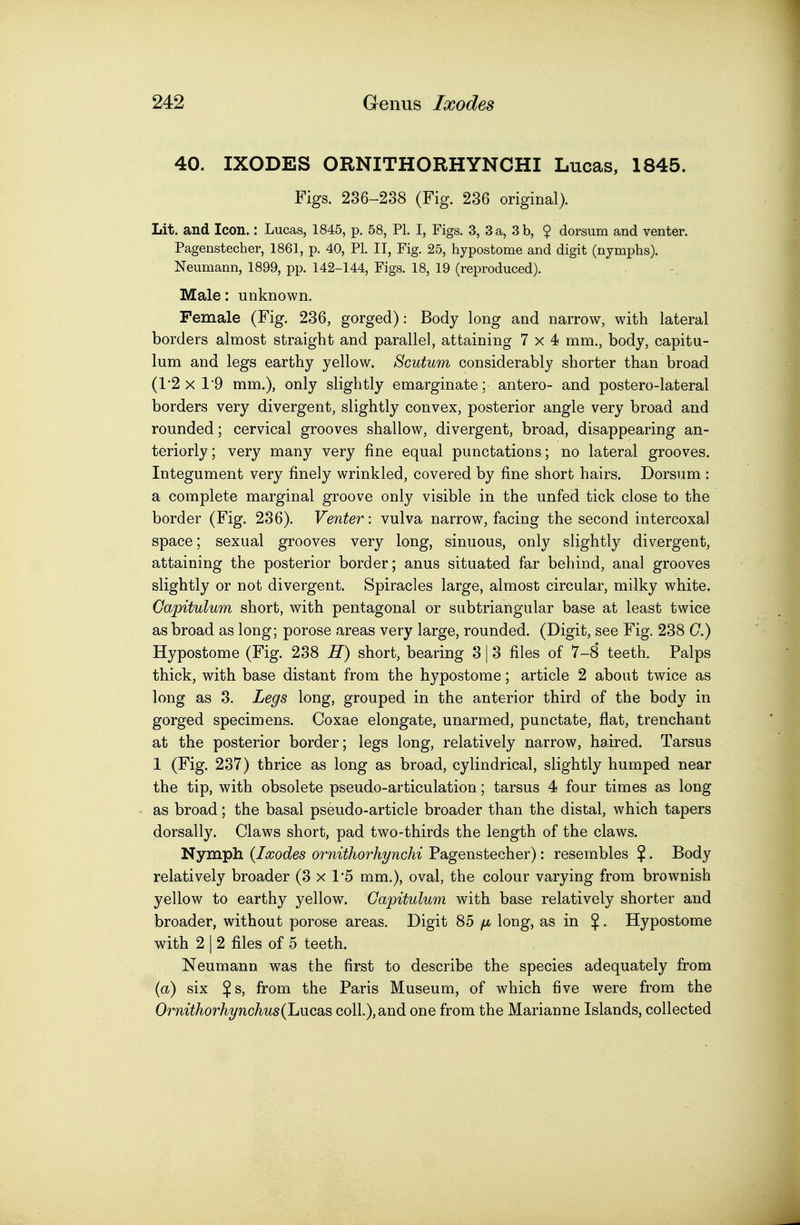 40. IXODES ORNITHORHYNCHI Lucas, 1845. Figs. 236-238 (Fig. 236 original). Lit. and Icon.: Lucas, 1845, p. 58, PL I, Figs. 3, 3 a, 3 b, ? dorsum and venter. Pagenstecher, 1861, p. 40, PI. II, Fig. 25, hypostome and digit (nymphs). Neumann, 1899, pp. 142-144, Figs. 18, 19 (reproduced). Male: unknown. Female (Fig. 236, gorged): Body long and narrow, with lateral borders almost straight and parallel, attaining 7x4 mm., body, capitu- lum and legs earthy yellow. Scutum considerably shorter than broad (1'2 X 19 mm.), only slightly emarginate; antero- and postero-lateral borders very divergent, slightly convex, posterior angle very broad and rounded; cervical grooves shallow, divergent, broad, disappearing an- teriorly; very many very fine equal punctations; no lateral grooves. Integument very finely wrinkled, covered by fine short hairs. Dorsum : a complete marginal groove only visible in the unfed tick close to the border (Fig. 236). Venter: vulva narrow, facing the second intercoxal space; sexual grooves very long, sinuous, only slightly divergent, attaining the posterior border; anus situated far behind, anal grooves slightly or not divergent. Spiracles large, almost circular, milky white. Gapitulum short, with pentagonal or subtriangular base at least twice as broad as long; porose areas very large, rounded. (Digit, see Fig. 238 (7.) Hypostome (Fig. 238 H) short, bearing 3 | 3 files of 7-8 teeth. Palps thick, with base distant from the hypostome; article 2 about twice as long as 3. Legs long, grouped in the anterior third of the body in gorged specimens. Coxae elongate, unarmed, punctate, flat, trenchant at the posterior border; legs long, relatively narrow, haired. Tarsus 1 (Fig. 237) thrice as long as broad, cylindrical, slightly humped near the tip, with obsolete pseudo-articulation; tarsus 4 four times as long as broad; the basal pseudo-article broader than the distal, which tapers dorsally. Claws short, pad two-thirds the length of the claws. Nymph {Ixodes ornithorhynchi Pagenstecher): resembles $. Body relatively broader (3 x 1*5 mm.), oval, the colour varying from brownish yellow to earthy yellow. Gapitulum with base relatively shorter and broader, without porose areas. Digit 85 /jl long, as in $. Hypostome with 2 I 2 files of 5 teeth. Neumann was the first to describe the species adequately from (a) six $s, from the Paris Museum, of which five were from the Ornithorhynchus(Luc3iS coll.), and one from the Marianne Islands, collected