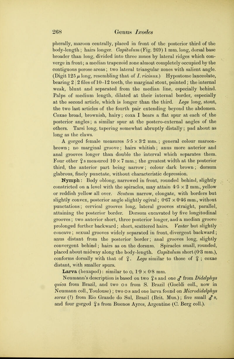 pherally, maroon centrally, placed in front of the posterior third of the body-length ; hairs longer. Gapitulum (Fig. 269) 1 mm. long, dorsal base broader than long, divided into three zones by lateral ridges which con- verge in front; a median trapezoid zone almost completely occupied by the contiguous porose areas ; two lateral triangular zones with salient angle. (Digit 125 jjb long, resembling that of /. ricinus.) Hypostome lanceolate, bearing 2 | 2 files of 10-12 teeth, the marginal stout, pointed ; the internal weak, blunt and separated from the median line, especially behind. Palps of medium length, dilated at their internal border, especially at the second article, which is longer than the third. Legs long, stout, the two last articles of the fourth pair extending beyond the abdomen. Coxae broad, brownish, hairy ; coxa I bears a flat spur at each of the posterior angles; a similar spur at the postero-external angles of the others. Tarsi long, tapering somewhat abruptly distally; pad about as long as the claws. A gorged female measures 5*5 x 3*2 mm.; general colour maroon- brown ; no marginal groove; hairs whitish; anus more anterior and anal grooves longer than double the interval which separates them. Four other $ s measured 10 x 7 mm.; the greatest width at the posterior third, the anterior part being narrow; colour dark brown ; dorsum glabrous, finely punctate, without characteristic depression. Nymph: Body oblong, narrowed in front, rounded behind, slightly constricted on a level with the spiracles, may attain 4*5 x 2 mm., yellow or reddish yellow all over. Scutum narrow, elongate, with borders but slightly convex, posterior angle slightly ogival; 0*67 x 0'46 mm., without punctations; cervical grooves long, lateral grooves straight, parallel, attaining the posterior border. Dorsum excavated by five longitudinal grooves ; two anterior short, three posterior longer, and a median groove prolonged further backward; short, scattered hairs. Venter but slightly concave ; sexual grooves widely separated in front, divergent backward ; anus distant from the posterior border; anal grooves long, slightly convergent behind; hairs as on the dorsum. Spiracles small, rounded, placed about midway along the body-length. Gapitulum short (03 mm.), conforms dorsally with that of $. Legs similar to those of $ ; coxae distant, with smaller spurs. Larva (hexapod): similar to o, 1'9 x 0*8 mm. Neumann's description is based on two $ s and one from Didelphys quica from Brazil, and two o s from S. Brazil (Goeldi coll., now in Neumann coll., Toulouse); two o s and one larva found on Microdidelphys sorex (?) from Rio Grande do Sul, Brazil (Brit. Mus.); five small J s, and four gorged % s from Buenos Ayres, Argentine (C. Berg coll.).