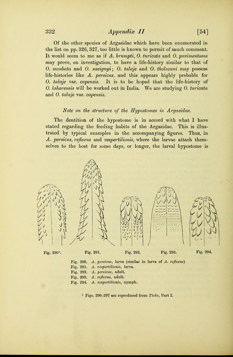 Of the other species of Argasidae which have been enumerated in the list on pp. 326, 327, too little is known to permit of much comment. It would seem to me as if A. hrumpti, 0. turicata and 0. pavimentosus may prove, on investigation, to have a life-history similar to that of 0. moubata and 0. savignyi; 0. talaje and 0. tholozani may possess life-histories like A. persicus, and this appears highly probable for 0. talaje var. capensis. It is to be hoped that the life-history of 0. lahorensis will be worked out in India. We are studying 0. turicata and 0. talaje var. capensis. Note on the structure of the Hypostomes in Argasidae. The dentition of the hypostome is in accord with what I have stated regarding the feeding habits of the Argasidae. This is illus- trated by typical examples in the accompanying figures. Thus, in A. persicus, reflexus and vespertilionis, where the larvae attach them- selves to the host for some days, or longer, the larval hypostome is Fig. 2901. Fig. 291. Fig. 292. Fig. 293. Fig. 294. Fig. 290. A. persicus, larva (similar in larva of A. reflexus) Fig. 291. A. vespertilionis, larva. Fig. 292. A. persicus, adult. Fig. 293. A. reflexus, adult. Fig. 294. A. vespertilionis^ nymph. 1 Figs. 290^297 are reproduced from Tichs^ Part I,