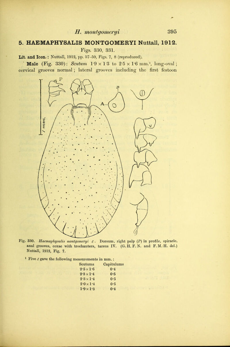 5, HAEMAPHYSALIS MONTGOMERYI Nuttall, 1912. Figs. 330, 331. Lit. and Icon.: Nuttall, 1912, pp. 57-59, Figs. 7, 8 (reproduced). ' Male (Fig. 330): Scutum 1-9 x 13 to 2-5 x I'G mm.\ long-oval; cervical grooves normal; lateral grooves including the first festoon P Fig. 330. Haemaphysalts montgomeryi s . Dorsum, right palp (P) in profile, spiracle, anal grooves, coxae with trochanters, tarsus IV. (G. H. F. N. and F.M.H. del.) Nuttall, 1912, Fig. 7. 1 Five t? gave the following measurements in mm. : Scutums Capitulums 2-5 X 1-6 0-4 2-3 X 1-4 0-5 2-3 X 1-4 0-5 2-0 X 1-4 0-5 1-9 X 1-3 0-4