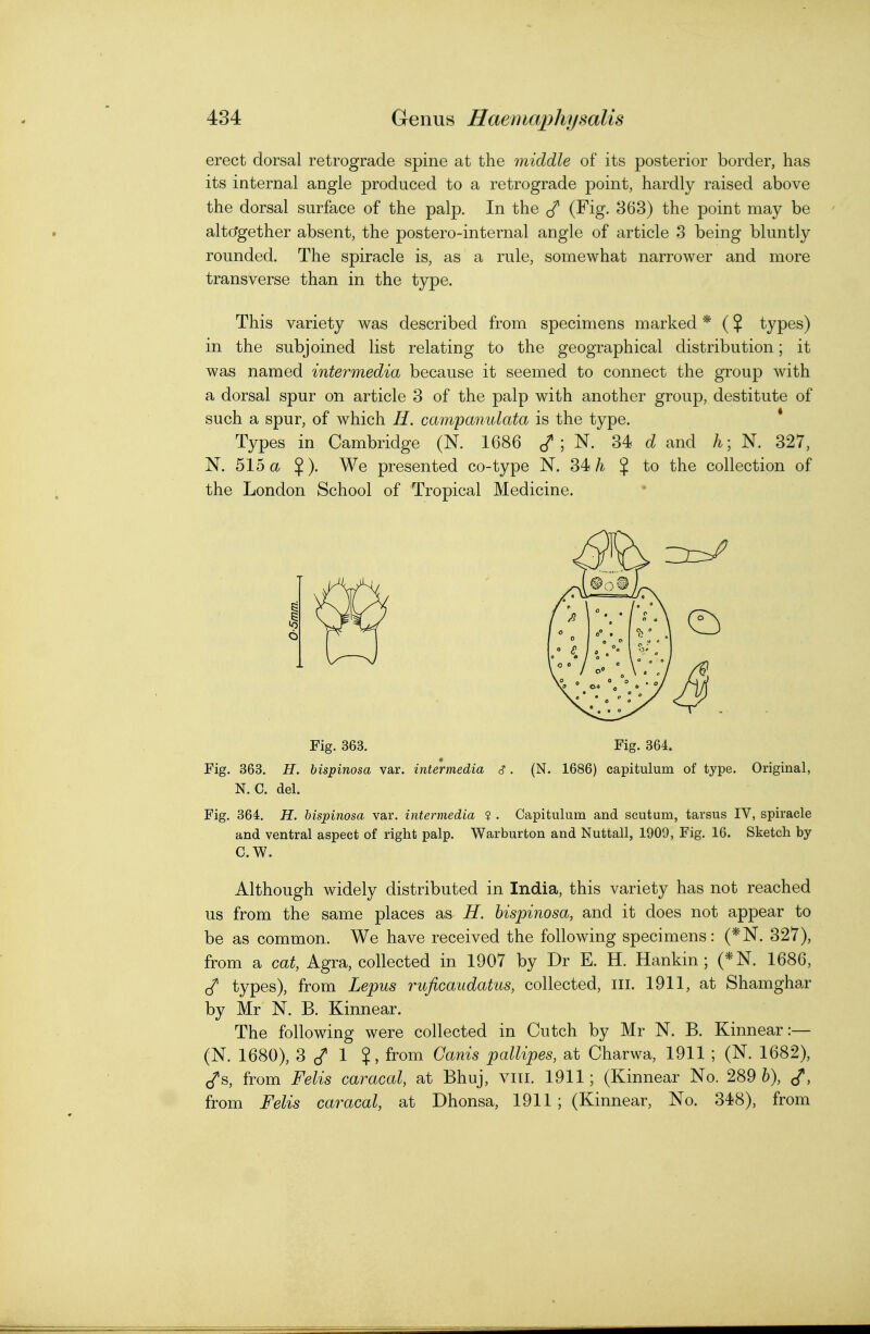 erect dorsal retrograde spine at the middle of its posterior border, has its internal angle produced to a retrograde point, hardly raised above the dorsal surface of the palp. In the cf (Fig. 363) the point may be alto'gether absent, the postero-internal angle of article 3 being bluntly rounded. The spiracle is, as a rule, somewhat narrower and more transverse than in the type. This variety was described from specimens marked * (? types) in the subjoined list relating to the geographical distribution; it was named intermedia because it seemed to connect the group with a dorsal spur on article 3 of the palp with another group, destitute of such a spur, of which //. campamdata is the type. * Types in Cambridge (N. 1686 ; N. 34 and h; N. 327, N. 515 a $). We presented co-type N. 34$ to the collection of the London School of Tropical Medicine. Fig. 363. Fig. 364. Fig. 363. H. bispinosa var. intermedia c?. (N. 1686) capitulum of type. Original, N. C. del. Fig. 364. H. bispinosa var. intermedia ? . Capitulum and scutum, tarsus IV, spiracle and ventral aspect of right palp. Warburton and Nuttall, 1909, Fig. 16. Sketch by C.W. Although widely distributed in India, this variety has not reached us from the same places as H. bispinosa, and it does not appear to be as common. We have received the following specimens: (*N. 327), from a cat, Agra, collected in 1907 by Dr E. H. Hankin ; (*N. 1686, types), from Lepus ruficaudatus, collected, ill. 1911, at Shamghar by Mr N. B. Kinnear. The following were collected in Cutch by Mr N. B. Kinnear:— (N. 1680), 3 cT 1 ?, from Ganis pallipes, at Charwa, 1911 ; (N. 1682), c/s, from Felis caracal, at Bhuj, viii. 1911; (Kinnear No. 289 6), J, from Felis caracal, at Dhonsa, 1911 ; (Kinnear, No. 348), from