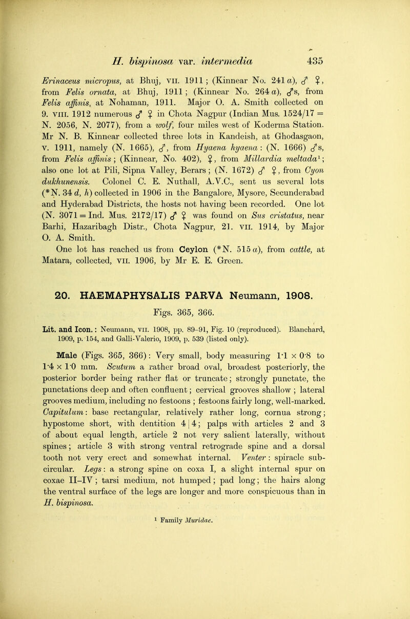 Erinaceus micropus, at Bhuj, vii. 1911; (Kinnear No. 241a), (/ ?, from Felis ornata, at Bhuj, 1911; (Kinnear No. 264 a), cfs, from Felis affinis, at Nohaman, 1911. Major O. A. Smith collected on 9. VIII. 1912 numerous $ in Chota Nagpur (Indian Mus. 1524/17 = N. 2056, N. 2077), from a wolf, four miles west of Koderma Station. Mr N. B. Kinnear collected three lots in Kandeish, at Ghodasgaon, V. 1911, namely (N. 1665), ^, from Hyaena hyaena: (N. 1666) cfs, from Felis affinis ; (Kinnear, No. 402), $, from Millardia meltada^; also one lot at Pili, Sipna Valley, Berars; (N. 1672) from Gyon dukhunensis. Colonel C. E. Nuthall, A.V.C, sent us several lots (*N. 34 d, h) collected in 1906 in the Bangalore, Mysore, Secunderabad and Hyderabad Districts, the hosts not having been recorded. One lot (N. 3071 = Ind. Mus. 2172/17) J $ was found on Sus cristatus, near Barhi, Hazaribagh Distr., Chota Nagpur, 21. vii. 1914, by Major O. A. Smith. One lot has reached us from Ceylon (*N. 515 a), from cattle, at Matara, collected, vii. 1906, by Mr E. E. Green. 20. HAEMAPHYSALIS PARVA Neumann, 1908. Figs. 365, 366. Lit. and Icon.: Neumann, vii. 1908, pp. 89-91, Fig. 10 (reproduced). Blanchard, 1909, p. 154, and Galli-Valerio, 1909, p. 539 (listed only). Male (Figs. 365, 366): Very small, body measuring 1*1 x 0*8 to 1'4 X 1*0 mm. Scutum a rather broad oval, broadest posteriorly, the posterior border being rather flat or truncate; strongly punctate, the punctations deep and often confluent; cervical grooves shallow ; lateral grooves medium, including no festoons ; festoons fairly long, well-marked. Gapitulum: base rectangular, relatively rather long, cornua strong; hypostome short, with dentition 414; palps with articles 2 and 3 of about equal length, article 2 not very salient laterally, without spines; article 3 with strong ventral retrograde spine and a dorsal tooth not very erect and somewhat internal. Venter : spiracle sub- circular. Legs: a strong spine on coxa I, a slight internal spur on coxae II-IV ; tarsi medium, not humped ; pad long; the hairs along the ventral surface of the legs are longer and more conspicuous than in H. bispinosa. 1 Family Muridae.