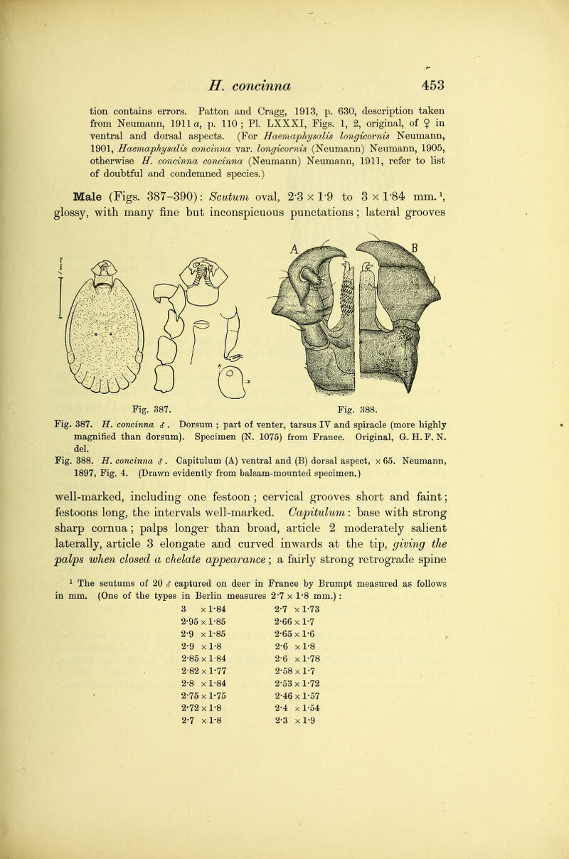 tion contains errors. Patton and Cragg, 1913, p. 630, description taken from Neumann, 1911a, p. 110; PL LXXXI, Figs. 1, 2, original, of ? in ventral and dorsal aspects. (For Haemaphysalis longicornis Neumann, 1901, Haemaphysalis concinna var. longicornis (Neumann) Neumann, 1905, otherwise H. concinna concinna (Neumann) Neumann, 1911, refer to list of doubtful and condemned species.) Male (Figs. 387-390): Scutum oval, 2-3 x 1-9 to 3x1-84 mm. ^ glossy, with many fine but inconspicuous punctations ; lateral grooves Fig. 388. H. concinna c?. Capitulum (A) ventral and (B) dorsal aspect, x 65. Neumann, 1897, Fig. 4. (Drawn evidently from balsam-mounted specimen.) well-marked, including one festoon ; cervical grooves short and faint; festoons long, the intervals well-marked. Capitulum: base with strong sharp cornua; palps longer than broad, article 2 moderately salient laterally, article 3 elongate and curved inwards at the tip, giving the palps when closed a chelate appearance; a fairly strong retrograde spine 1 The scutums of 20 <? captured on deer in France by Brumpt measured as follows in mm. (One of the types in Berlin measures 2-7 x 1*8 mm.) : 3 X1-84 2-7 xl-73 2-95 X 1-85 2-66 X 1-7 2-9 xl-85 2-65 X 1-6 2-9 xl'8 2-6 xl-8 2-85 X 1-84 2-6 xl-78 2-82 X 1-77 2-58 X 1-7 2-8 xl-84 2-53 x 1-72 2-75 X 1-75 2-46 X 1-57 2-72 X 1-8 2-4 xl-o4 2-7 xl-8 2-3 xl-9