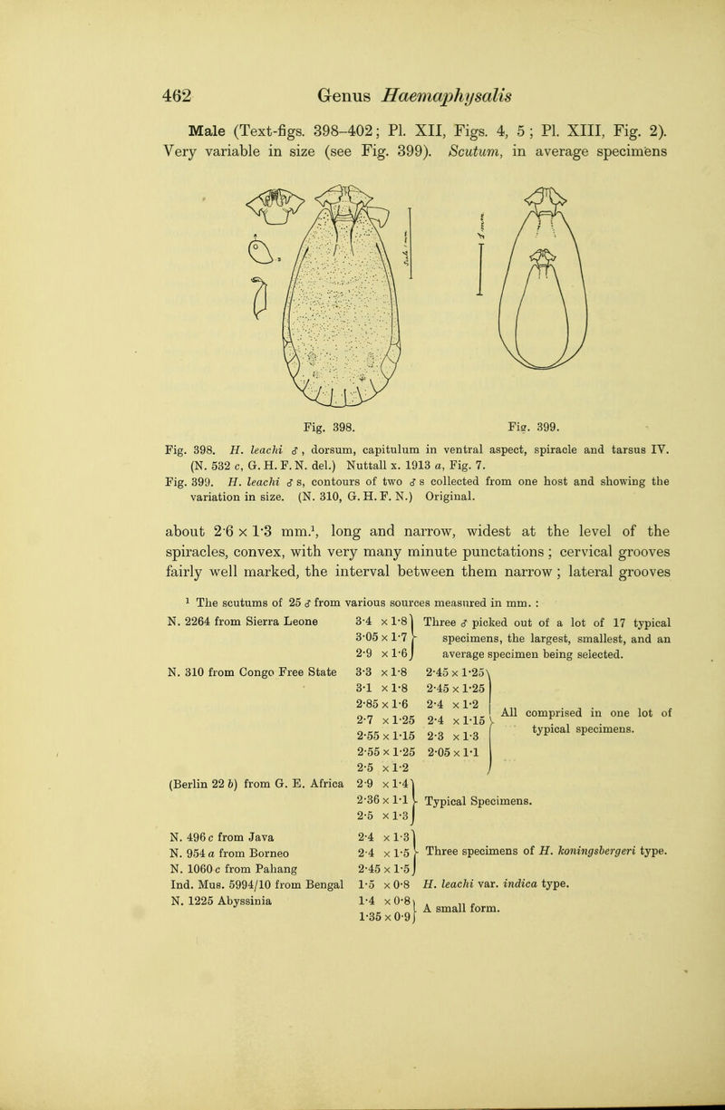 Male (Text-figs. 398-402; PI. XII, Figs. 4, 5 ; PL XIII, Fig. 2). Very variable in size (see Fig. 399). Scutum, in average specimens Fig. 398. Fig. 399. Fig. 398. H. leachi S , dorsum, capitulum in ventral aspect, spiracle and tarsus IV. (N. 532 c, G. H. F. N. del.) Nuttall x. 1913 a, Fig. 7. Fig. 399. H. leachi ^ s, contours of two s collected from one host and showing the variation in size. (N. 310, G. H.F, N.) Original. about 2*6 X 13 mm}, long and narrow, widest at the level of the spiracles, convex, with very many minute punctations ; cervical grooves fairly well marked, the interval between them narrow ; lateral grooves 1 The scutums of 25 c? from various sources measured in mm. : N. 2264 from Sierra Leone 3*4 x ] N. 310 from Congo Free State Three c? picked out of a lot of 17 typical specimens, the largest, smallest, and an average specimen being selected. 2-45xl-25\ 2-45 X 1-25 2-4 xl-2 2-4 xl-15 y 2-3 xl-3 2-05 X 1-1 All comprised in one lot of typical specimens. (Berlin 22 b) from G. E. Africa Typical Specimens. N. 496 c from Java N. 954 a from Borneo N. 1060 c from Pahang Ind. Mus. 5994/10 from Bengal N. 1225 Abyssinia Three specimens of H. honingshergeri type. H. leachi var. indica type. A small form.