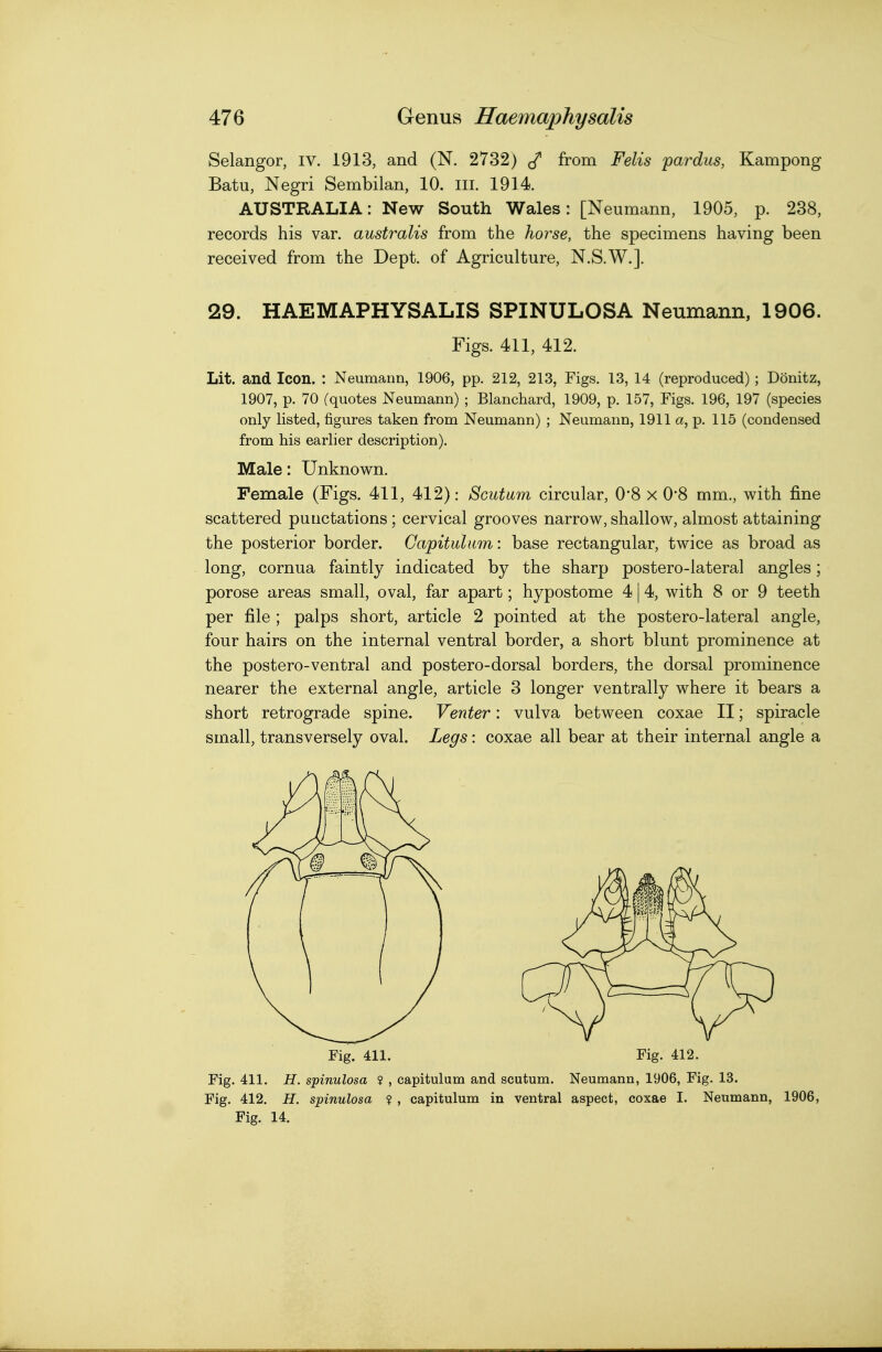 Selangor, I v. 1913, and (N. 2732) from Felis pardus, Kampong Batu, Negri Sembilan, 10. ill. 1914. AUSTRALIA: New South Wales: [Neumann, 1905, p. 238, records his var. australis from the horse, the specimens having been received from the Dept. of Agriculture, N.S.W.]. 29. HAEMAPHYSALIS SPINULOSA Neumann, 1906. Figs. 411, 412. Lit. and Icon. : Neumann, 1906, pp. 212, 213, Figs. 13, 14 (reproduced) ; Donitz, 1907, p. 70 (quotes Neumann) ; Blanchard, 1909, p. 157, Figs. 196, 197 (species only listed, figures taken from Neumann) ; Neumann, 1911 a, p. 115 (condensed from his earher description). Male: Unknown. Female (Figs. 411, 412): Scutum circular, 0*8 x 0-8 mm., with fine scattered punctations; cervical grooves narrow, shallow, almost attaining the posterior border. Gapitulam: base rectangular, twice as broad as long, cornua faintly indicated by the sharp postero-lateral angles; porose areas small, oval, far apart; hypostome 4 | 4, with 8 or 9 teeth per file ; palps short, article 2 pointed at the postero-lateral angle, four hairs on the internal ventral border, a short blunt prominence at the postero-ventral and postero-dorsal borders, the dorsal prominence nearer the external angle, article 3 longer ventrally where it bears a short retrograde spine. Venter: vulva between coxae II; spiracle small, transversely oval. Legs: coxae all bear at their internal angle a Fig. 411. Fig. 412. Fig. 411. H. spinulosa ? , capitulum and scutum. Neumann, 1906, Fig. 13. Fig. 412. H. spinulosa ? , capitulum in ventral aspect, coxae I. Neumann, 1906, Fig. 14.