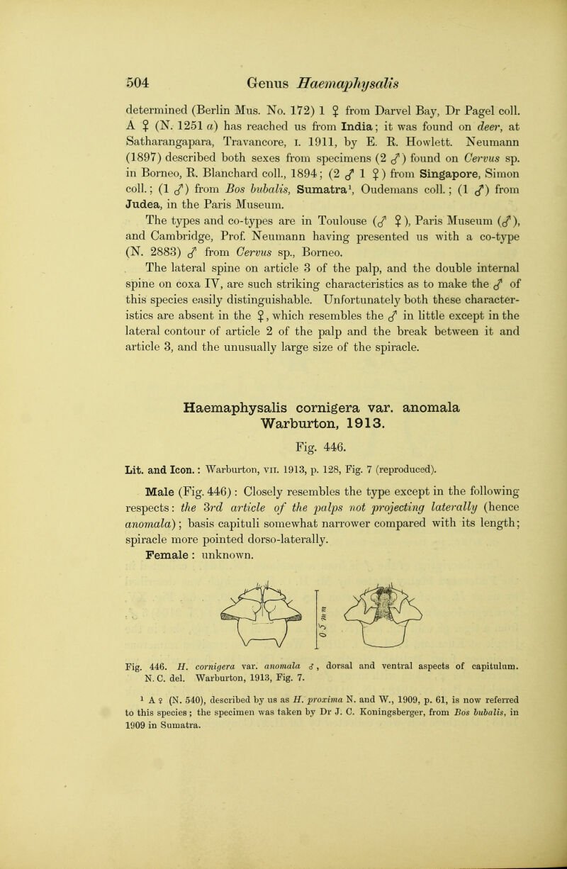 determined (Berlin Mus. No. 172) 1 J from Darvel Bay, Dr Pagel coll. A $ (N. 1251 a) has reached us from India; it was found on deer, at Satharangapara, Travancore, I. 1911, by E. R. Hewlett. Neumann (1897) described both sexes from specimens (2 (/) found on Gervus sp. in Borneo, R. Blanchard coll., 1894; (2 ^Z* 1 ?) from Singapore, Simon coll.; (1 (/) from Bos buhalis, Sumatra^ Oudemans coll.; (1 (/) from Judea, in the Paris Museum. The types and co-types are in Toulouse ((/ $), Paris Museum (J^), and Cambridge, Prof Neumann having presented us with a co-type (N. 2883) J from Gervus sp., Borneo. The lateral spine on article 3 of the palp, and the double internal spine on coxa IV, are such striking characteristics as to make the of this species easily distinguishable. Unfortunately both these character- istics are absent in the $, which resembles the in little except in the lateral contour of article 2 of the palp and the break between it and article 3, and the unusually large size of the spiracle. Haemaphysalis cornigera var. anomala Warburton, 1913. Fig. 446. Lit. and Icon.: Warburton, vii. 1913, p. 128, Fig. 7 (reproduced). . Male (Fig. 446): Closely resembles the type except in the following respects: the Srd article of the palps not projecting laterally (hence anomala); basis capituli somewhat narrower compared with its length; spiracle more pointed dorso-laterally. Female : unknown. Fig. 446. H. cornigera var. anomala j, dorsal and ventral aspects of capitulum. N. C. del. Warburton, 1913, Fig. 7. 1 A ? (N. 540), described by us as H. proxima N. and W., 1909, p. 61, is now referred to this species ; the specimen was taken by Dr J. C. Koningsberger, from Bos bubalis, in 1909 in Sumatra.