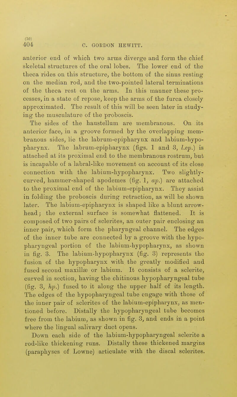 404 C. GORDON HEWITT. anterior end of which two arms diverge and form the chief skeletal structures of the oral lobes. The lower end of the theca rides on this structure; the bottom of the sinus resting on the median rod, and the two-pointed lateral terminations of the theca rest on the arms. In this manner these pro- cesses, in a state of repose, keep the arms of the furea closely approximated. The result of this will be seen later in study- ing the musculature of the proboscis. The sides of the haustellum are membranous. On its anterior face, in a groove formed by the overlapping mem- branous sides, lie the labrum-epipharynx and labium-hypo- pharynx. The labrum-epipharynx (figs. 1 and 3, l.ep.) is attached at its proximal end to the membranous rostrum, but is incapable of a labral-like movement on account of its close connection with the labium-hypopharynx. Two slightly- curved, hammer-shaped apodemes (fig. 1, ap.) are attached to the proximal end of the labium-epipharynx. They assist in folding the proboscis during retraction, as will be shown later. The labium-epipharynx is shaped like a blunt arrow- head; the external surface is somewhat flattened. It is composed of two pairs of sclerites, an outer pair enclosing an inner pair, which form the pharyngeal channel. The edges of the inner tube are connected by a groove with the hypo- pharyngeal portion of the labium-hypopharynx, as shown in fig. 3. The labium-hypopharynx (fig. 3) represents the fusion of the hypopharynx with the greatly modified and fused second maxillas or labium. It consists of a sclerite, curved in section, having the chitinous hypopharyngeal tube (fig. 3, hp.) fused to it along the upper half of its length. The edges of the hypopharyngeal tube engage with those of the inner pair of sclerites of the labium-epipharynx, as men- tioned before. Distally the hypopharyngeal tube becomes free from the labium, as shown in fig. 3, and ends in a point where the lingual salivary duct opens. Down each side of the labium-hypopharyngeal sclerite a rod-like thickening runs. Distally these thickened margins (paraphyses of Lowne) articulate with the discal sclerites.