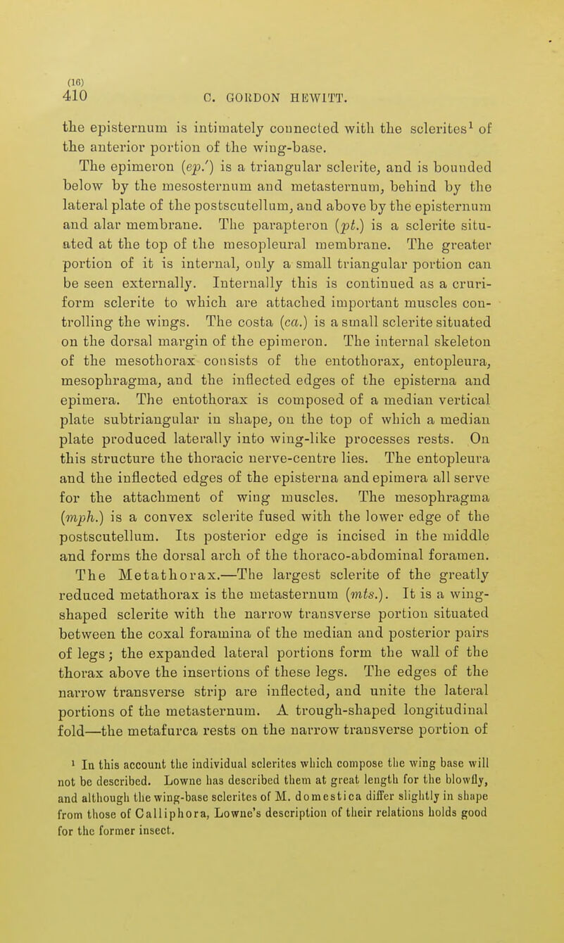 410 C. GORDON HEWITT. the episternum is intimately connected with the sclerites1 of the anterior portion of the wing-base. The epimeron {ep.') is a triangular sclerite, and is bounded below by the mesosternum and metasternum, behind by the lateral plate of the postscutelluin, and above by the episternum and alar membrane. The parapteron (pt.) is a sclerite situ- ated at the top of the mesopleural membrane. The greater portion of it is internal, only a small triangular portion can be seen externally. Internally this is continued as a cruri- form sclerite to which are attached important muscles con- trolling the wings. The costa (ca.) is a small sclerite situated on the dorsal mai'gin of the epimeron. The internal skeleton of the mesothorax consists of the entothorax, entopleura, mesophragrna, and the inflected edges of the episterna and epimera. The entothorax is composed of a median vertical plate subtriangular in shape, on the top of which a median plate produced laterally into wing-like processes rests. On this structure the thoracic nerve-centre lies. The entopleura and the inflected edges of the episterna and epimera all serve for the attachment of wing muscles. The mesophragma (mph.) is a convex sclerite fused with the lower edge of the postscutellum. Its posterior edge is incised in the middle and forms the dorsal arch of the thoraco-abdominal foramen. The Metathorax.—The largest sclerite of the greatly reduced metathorax is the metasternum (mts.). It is a wing- shaped sclerite with the narrow transverse portion situated between the coxal foramina of the median and posterior pairs of legs; the expanded lateral portions form the wall of the thorax above the insertions of these legs. The edges of the narrow transverse strip are inflected, and unite the lateral portions of the metasternum. A trough-shaped longitudinal fold—the metafurea rests on the narrow transverse portion of 1 la this account the individual sclerites which compose the wing base will not be described. Lowne has described them at great length for the blowfly, and although the wing-base sclerites ofM. domestica differ slightly in shape from those of Calliphora, Lowne's description of their relations holds good for the former insect.