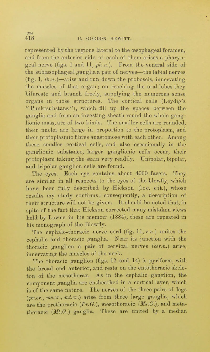 418 0. GORDON HEWITT. represented by the regions lateral to the oesophageal foramen, and from the anterior side of each of them arises a pharyn- geal nerve (figs. 1 and 11, ph.n.). From the ventral side of the subcesophageal ganglia a pair of nerves—the labial nerves (fig. 1, Ib.n.)—arise and run down the proboscis, innervating the muscles of that organ; on reaching the oral lobes they bifurcate and branch freely, supplying the numerous sense organs in those structures. The cortical cells (Leydig's Punktsubstanz), which fill up the spaces between the ganglia and form an investing sheath round the whole gang- lionic mass, are of two kinds. The smaller cells are rounded, their nuclei are large in proportion to the protoplasm, and their protoplasmic fibres anastomose with each other. Among these smaller cortical cells, and also occasionally in the ganglionic substance, larger ganglionic cells occur, their protoplasm taking the stain very readily. Unipolar, bipolar, and tripolar ganglion cells are found. The eyes. Each eye contains about 4000 facets. They are similar in all respects to the eyes of the blowfly, which have been fully described by Hickson (loc. cit.), whose results my study confirms; consequently, a description of their structure will not be given. It should be noted that, in spite of the fact that Hickson corrected many mistaken views held by Lowne in his memoir (1884), these are repeated in his monograph of the Blowfly. The cephalo-thoracic nerve cord (fig. 11, c.n.) unites the cephalic and thoracic ganglia. Near its junction with the thoi-acic ganglion a pair of cervical nerves (cer.n.) arise, innervating the muscles of the neck. The thoracic ganglion (figs. 12 and 14) is pyriform, with the broad end anterior, and rests on the entothoracic skele- ton of the mesothorax. As in the cephalic ganglion, the component ganglia are ensheathed in a cortical layer, which is of the same nature. The nerves of the three pairs of legs (pr.cr., ms.cr., mt.cr.) arise from three large ganglia, which are the prothoracic (Pr.G.), mesothoracic (Ms.G.), and meta- thoracic {Mt.O.) ganglia. These are united by a median