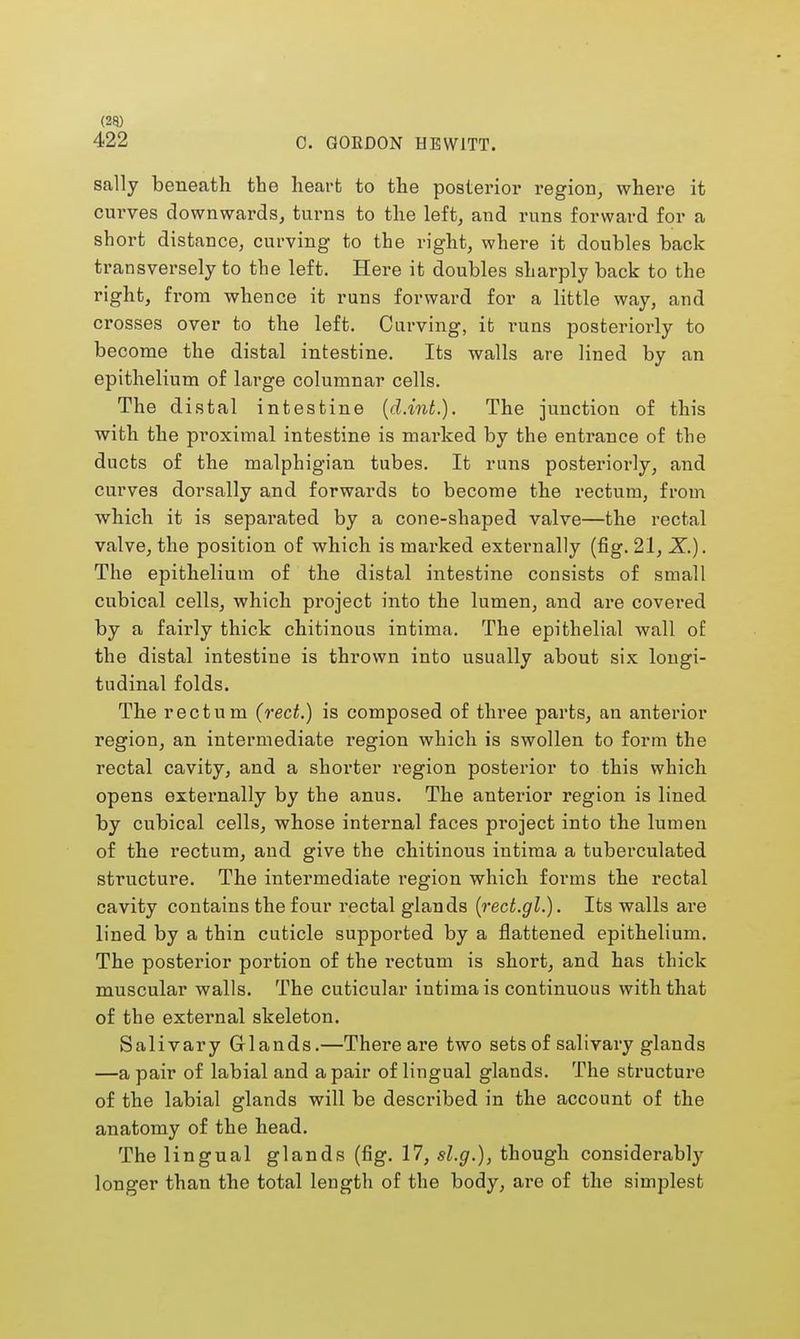 422 0. GORDON HEWITT. sally beneath the heart to the posterior region, where it curves downwards, turns to the left, and runs forward for a short distance, curving to the right, where it doubles back transversely to the left. Here it doubles sharply back to the right, from whence it runs forward for a little way, and crosses over to the left. Carving, it runs posteriorly to become the distal intestine. Its walls are lined by an epithelium of large columnar cells. The distal intestine (d.inb.). The junction of this with the proximal intestine is marked by the entrance of the ducts of the malphigian tubes. It runs posteriorly, and curves dorsally and forwards to become the rectum, from which it is separated by a cone-shaped valve—the rectal valve, the position of which is marked externally (fig. 21, X.). The epithelium of the distal intestine consists of small cubical cells, which project into the lumen, and are covered by a fairly thick chitinous intima. The epithelial wall of the distal intestine is thrown into usually about six longi- tudinal folds. The rectum (red.) is composed of three parts, an anterior region, an intermediate region which is swollen to form the rectal cavity, and a shorter region posterior to this which opens externally by the anus. The anterior region is lined by cubical cells, whose internal faces project into the lumen of the rectum, and give the chitinous intima a tuberculated structure. The intermediate region which forms the rectal cavity contains the four rectal glands (rect.gl.). Its walls are lined by a thin cuticle supported by a flattened epithelium. The posterior portion of the rectum is short, and has thick muscular walls. The cuticular intima is continuous with that of the external skeleton. Salivary Glands.—There are two sets of salivary glands —a pair of labial and a pair of lingual glands. The structure of the labial glands will be described in the account of the anatomy of the head. The lingual glands (fig. 17, sl.g.), though considerably longer than the total length of the body, are of the simplest