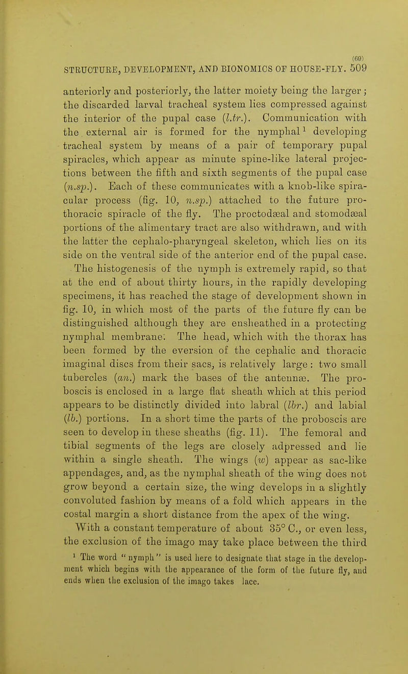 (CO) STRUCTURE, DEVELOPMENT, AND BIONOMICS OF HOUSE-ELY. 509 anteriorly and posteriorly, the latter moiety being the larger ; the discarded larval tracheal system lies compressed against the interior of the pupal case (l.tr.). Communication with the external air is formed for the nymphal1 developing tracheal system by means of a pair of temporary pupal spiracles, which appear as minute spine-like lateral projec- tions between the fifth and sixth segments of the pupal case (n.sp.). Each of these communicates with a knob-like spira- cular process (fig. 10, n.sp.) attached to the future pro- thoracic spiracle of the fly. The proctodseal and stomodaeal portions of the alimentary tract are also withdrawn, and with the latter the cephalo-phaiwngeal skeleton, which lies on its side on the ventral side of the anterior end of the pupal case. The histogenesis of the nymph is extremely rapid, so that at the end of about thirty hours, in the rapidly developing specimens, it has reached the stage of development shown in fig. 10, in which most of the parts of the future fly can be distinguished although they are ensheathed in a protecting nymphal membrane'. The head, which with the thorax has been formed by the eversion of the cephalic and thoracic imaginal discs from their sacs, is relatively large : two small tubercles (an.) mark the bases of the antennas. The pro- boscis is enclosed in a lai'ge flat sheath which at this period appears to be distinctly divided into labral (Ibr.) and labial (lb.) portions. In a short time the parts of the proboscis are seen to develop in these sheaths (fig. 11). The femoral and tibial segments of the legs are closely adpressed and lie within a single sheath. The wings (w) appear as sac-like appendages, and, as the nymphal sheath of the wing does not grow beyond a certain size, the wing develops in a slightly convoluted fashion by means of a fold which appears in the costal margin a short distance from the apex of the wing. With a constant temperature of about 35° C, or even less, the exclusion of the imago may take place between the third 1 The word  nymph  is used here to designate that stage in the develop- ment which begins with the appearance of the form of the future fly, and ends when the exclusion of the imago takes lace.