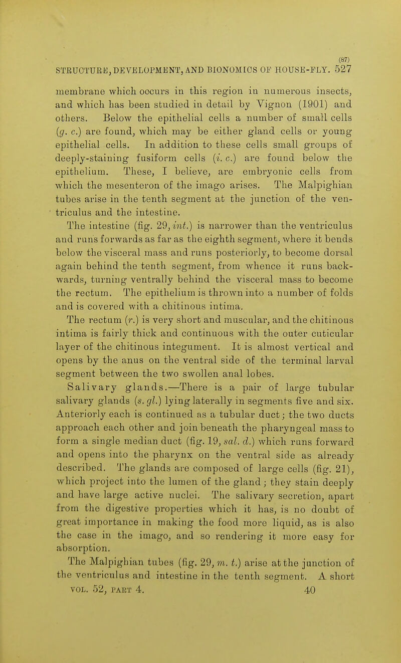 STRUCTURE, DEVELOPMENT, AND BIONOMICS OE HOUSE-ELY. 527 membrane which oocurs in this region in numerous insects, and which has been studied in detail by Vignon (1901) and others. Below the epithelial cells a number of small cells (g. c.) are found, which may be either gland cells or young epithelial cells. In addition to these cells small groups of deeply-staiuing fusiform cells {%. c.) are found below the epithelium. These, I believe, are embryonic cells from which the mesenteron of the imago arises. The Malpighian tubes arise in the tenth segment at the junction of the ven- triculus and the intestine. The intestine (fig. 29, int.) is narrower than the ventriculus and runs forwards as far as the eighth segment, where it bends below the visceral mass and runs posteriorly, to become dorsal again behind the tenth segment, from whence it runs back- wards, turning ventrally behind the visceral mass to become the rectum. The epithelium is thrown into a number of folds and is covered with a chitinous intima. The rectum (r.) is very short and muscular, and the chitinous intima is fairly thick and continuous with the outer cuticular layer of the chitinous integument. It is almost vertical and opens by the anus on the ventral side of the terminal larval segment between the two swollen anal lobes. Salivary glands.—There is a pair of large tubular salivary glands (s.gl.) lying laterally in segments five and six. Anteriorly each is continued as a tubular duct; the two ducts approach each other and join beneath the pharyngeal mass to form a single median duct (fig. 19, sal. d.) which runs forward and opens into the pharynx on the ventral side as already described. The glands are composed of large cells (fig. 21), which project into the lumen of the gland; they stain deeply and have large active nuclei. The salivary secretion, apart from the digestive properties which it has, is no doubt of great importance in making the food more liquid, as is also the case in the imago, and so rendering it more easy for absorption. The Malpighian tubes (fig. 29, m. t.) arise at the junction of the ventriculus and intestine in the tenth segment. A short vol. 52, part 4. 40
