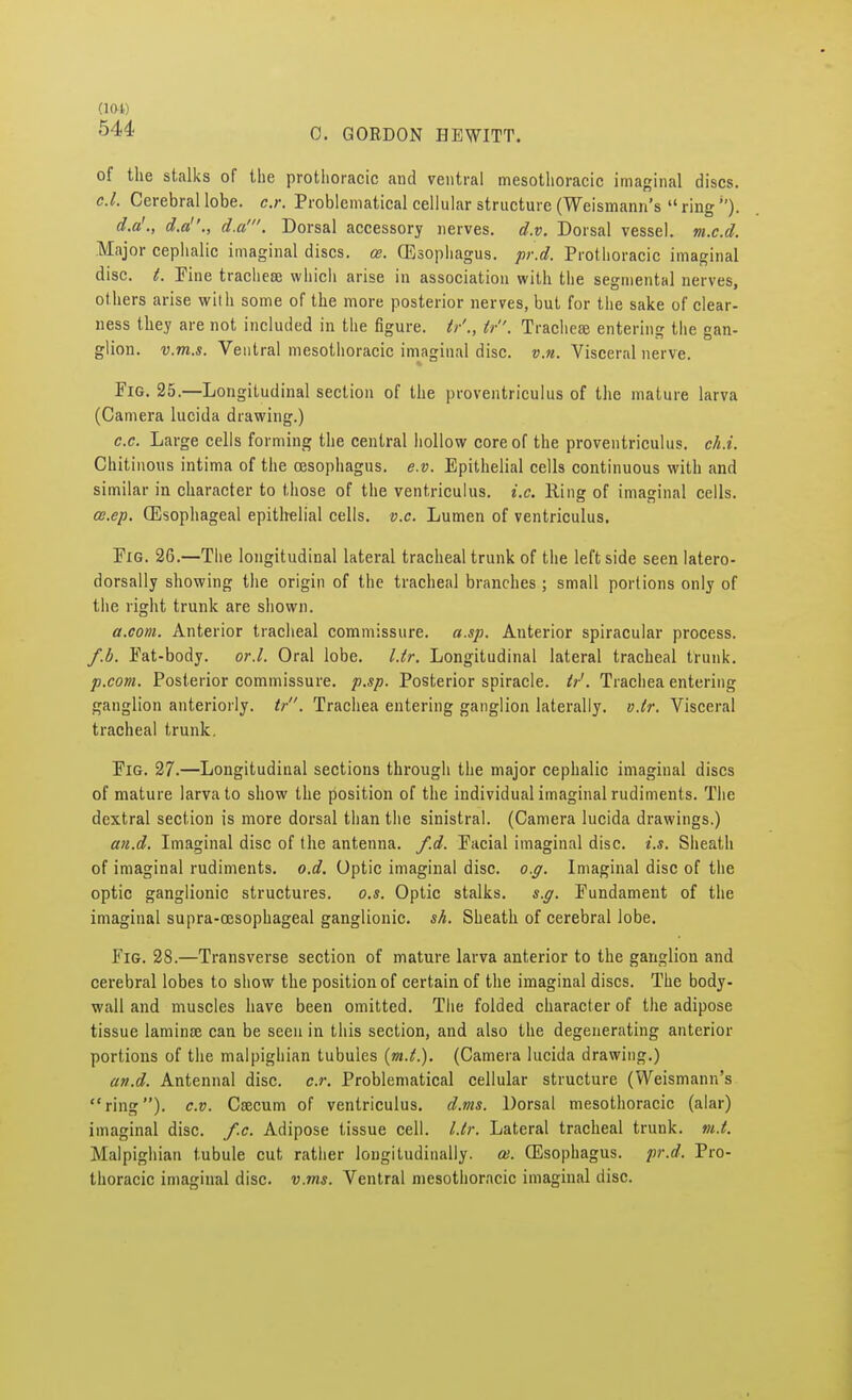 (10-1) 544 C. GORDON HEWITT. of the stalks of the protlioracic and ventral mesothoracic imaginal discs. c.l. Cerebral lobe. c.r. Problematical cellular structure (Weismann's  ring ). d.a'., d.a., d.a'. Dorsal accessory nerves, d.v. Dorsal vessel, m.c.d. Major cephalic imaginal discs, ce. (Esophagus, pr.d. Protlioracic imaginal disc. t. Pine tracheae which arise in association with the segmental nerves, others arise with some of the more posterior nerves, but for the sake of clear- ness they are not included in the figure. tr'., tr. Tracheal entering the gan- glion, v.m.s. Ventral mesothoracic imaginal disc. v.n. Visceral nerve. Fig. 25.—Longitudinal section of the proventriculus of the mature larva (Camera lucida drawing.) c.c. Large cells forming the central hollow core of the proventriculus. ch.i. Chitinous intima of the oesophagus, e.v. Epithelial cells continuous with and similar in character to those of the ventriculus. i.e. Ping of imaginal cells. ce.ep. (Esophageal epithelial cells, v.c. Lumen of ventriculus. Pig. 26.—The longitudinal lateral tracheal trunk of the left side seen latero- dorsally showing the origin of the tracheal branches ; small portions only of the right trunk are shown. a.com. Anterior tracheal commissure, a.sp. Anterior spiracular process. f.b. Pat-body. or.I. Oral lobe. l.tr. Longitudinal lateral tracheal trunk. p.com. Posterior commissure, p.sp. Posterior spiracle, tr'. Trachea entering ganglion anteriorly, tr. Trachea entering ganglion laterally, v.tr. Visceral tracheal trunk, Pig. 27.—Longitudinal sections through the major cephalic imaginal discs of mature larva to show the position of the individual imaginal rudiments. The dextral section is more dorsal than the sinistral. (Camera lucida drawings.) an.d. Imaginal disc of the antenna, f.d. Pacial imaginal disc. i.s. Sheath of imaginal rudiments, o.d. Optic imaginal disc. o.g. Imaginal disc of the optic ganglionic structures, o.s. Optic stalks, s.g. Fundament of the imaginal supra-oesophageal ganglionic, sh. Sheath of cerebral lobe. Fig. 28.—Transverse section of mature larva anterior to the ganglion and cerebral lobes to show the position of certain of the imaginal discs. The body- wall and muscles have been omitted. The folded character of the adipose tissue lamina? can be seen in this section, and also the degenerating anterior portions of the malpighian tubules (m.t.). (Camera lucida drawing.) an.d. Antennal disc. c.r. Problematical cellular structure (Weismann's ring), c.v. Caecum of ventriculus. d.ms. Dorsal mesothoracic (alar) imaginal disc. f.c. Adipose tissue cell. l.tr. Lateral tracheal trunk, m.t. Malpighian tubule cut rather longitudinally, ce. (Esophagus, pr.d. Pro- thoracic imaginal disc. v.ms. Ventral mesothoracic imaginal disc.