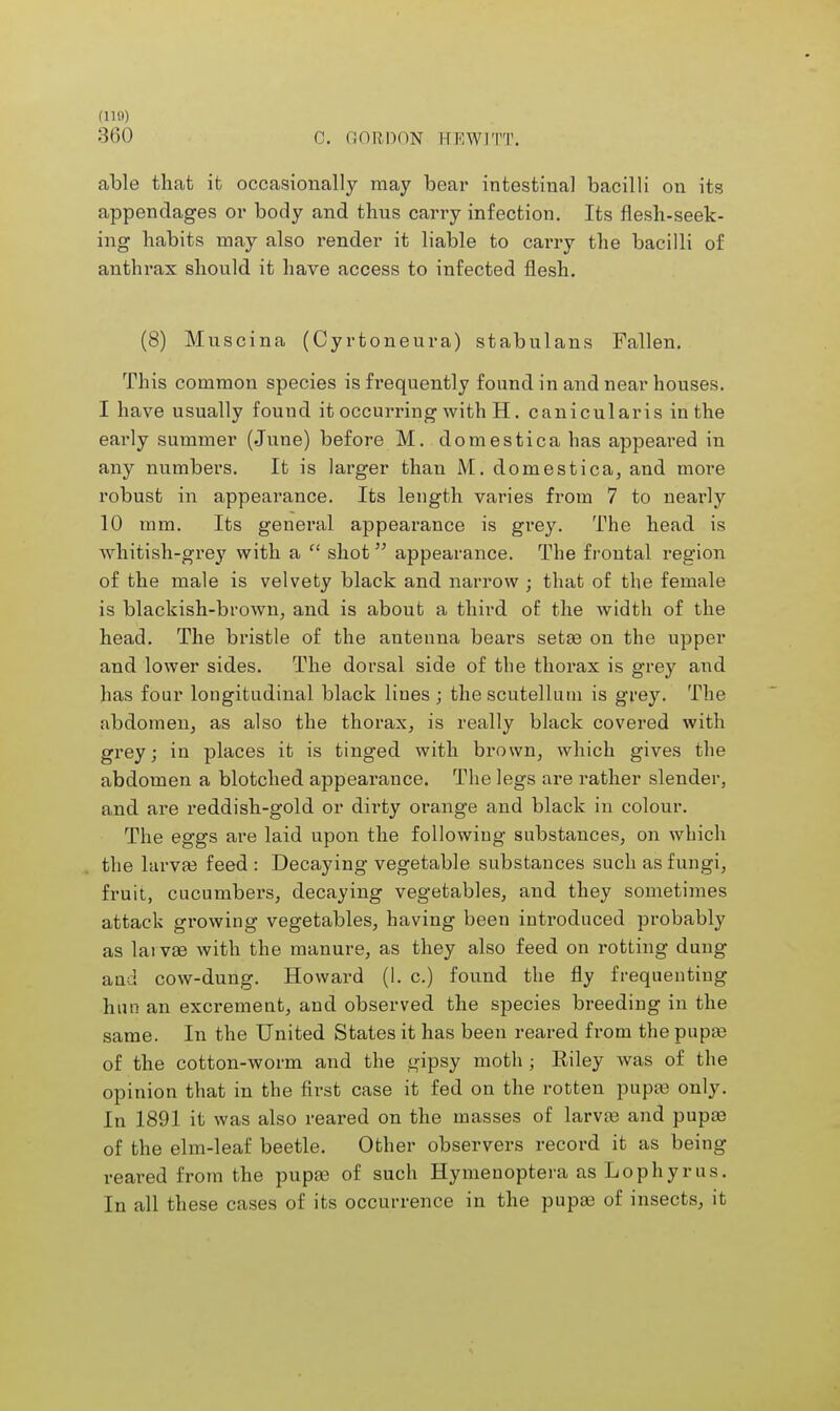 C. OORDON EEW1TT. able that it occasionally may bear intestinal bacilli on its appendages or body and thus carry infection. Its flesh-seek- ing habits may also render it liable to carry the bacilli of anthrax should it have access to infected flesh. (8) Muscina (Cyrtoneura) stabulans Fallen. This common species is frequently found in and near houses. I have usually found it occurring with H. canicularis in the early summer (June) before M. domestica has appeared in any numbers. It is larger than M. domestica, and more robust in appearance. Its length varies from 7 to nearly 10 mm. Its general appearance is gi'ey. The head is whitish-grey with a  shot appearance. The frontal region of the male is velvety black and narrow ; that of the female is blackish-brown, and is about a third of the width of the head. The bristle of the antenna bears seta3 on the upper and lower sides. The dorsal side of the thorax is grey and has four longitudinal black lines ; the scutellutn is grey. The abdomen, as also the thorax, is really black covered with grey; in places it is tinged with brown, which gives the abdomen a blotched appearance. The legs are rather slender, and are reddish-gold or dirty orange and black in colour. The eggs are laid upon the following substances, on which the larva? feed : Decaying vegetable substances such as fungi, fruit, cucumbers, decaying vegetables, and they sometimes attack growing vegetables, having been introduced probably as lai va? with the manure, as they also feed on rotting dung and cow-dung. Howard (1. c.) found the fly frequenting him an excrement, and observed the species breeding in the same. In the United States it has been reared from the pupa? of the cotton-worm and the gipsy moth ; Riley was of the opinion that in the first case it fed on the rotten pupa? only. In 1891 it was also reared on the masses of larva? and pupa? of the elm-leaf beetle. Other observers record it as being reared from the pupa? of such Hymenoptera as Lophyrus. In all these cases of its occurrence in the pupa? of insects, it