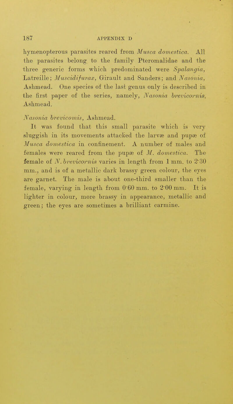 hyruenopterous parasites reared from Musca domestica. All the parasites belong to the family Pteromalidae and the three generic forms which predominated were Spalangia, Latreille; Musciclifurax, Girault and Sanders; and Nasonia, Ashmead. One species of the last genus only is described in the first paper of the series, namely, Nasonia brevicornis, Ashmead. Nasonia brevicornis, Ashmead. It was found that this small parasite which is very sluggish in its movements attacked the larvae and pupa? of Musca domestica in confinement. A number of males and females were reared from the pupae of M. domestica. The female of N. brevicornis varies in length from 1 mm. to 2'30 mm., and is of a metallic dark brassy green colour, the eyes are garnet. The male is about one-third smaller than the female, varying in length from 060 mm. to 2'00 mm. It is lighter in colour, more brassy in appearance, metallic and green; the eyes are sometimes a brilliant carmine.