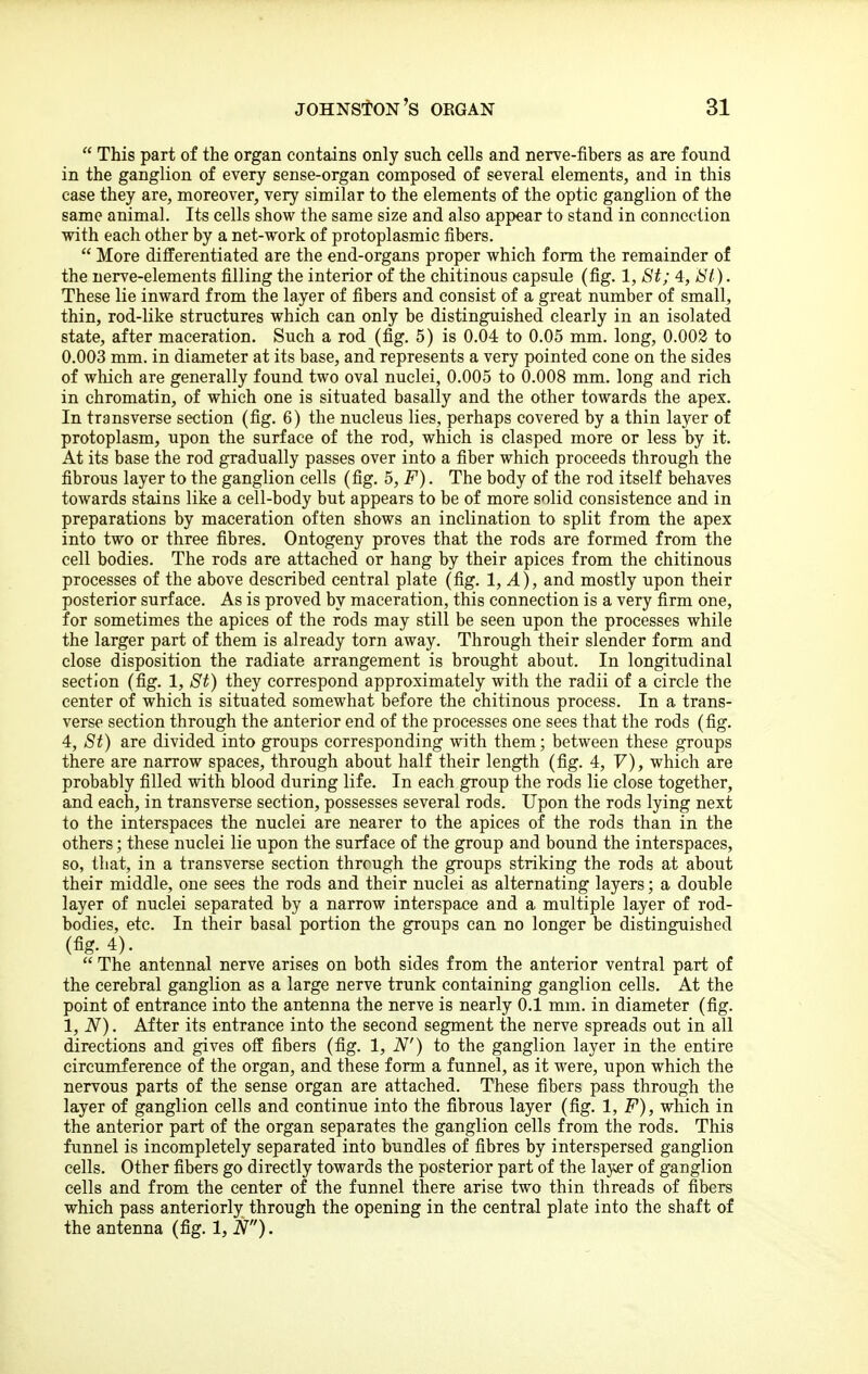  This part of the organ contains only such cells and nerve-fibers as are found in the ganglion of every sense-organ composed of several elements, and in this case they are, moreover, very similar to the elements of the optic ganglion of the same animal. Its cells show the same size and also app€ar to stand in connection with each other by a net-work of protoplasmic fibers.  More differentiated are the end-organs proper which form the remainder of the nerve-elements filling the interior of the chitinous capsule (fig. 1, St; 4, ISi). These lie inward from the layer of fibers and consist of a great number of small, thin, rod-like structures which can only be distinguished clearly in an isolated state, after maceration. Such a rod (fig. 5) is 0.04 to 0.05 mm. long, 0.003 to 0. 003 mm. in diameter at its base, and represents a very pointed cone on the sides of which are generally found two oval nuclei, 0.005 to 0.008 mm. long and rich in chromatin, of which one is situated basally and the other towards the apex. In transverse section (fig. 6) the nucleus lies, perhaps covered by a thin layer of protoplasm, upon the surface of the rod, which is clasped more or less by it. At its base the rod gradually passes over into a fiber which proceeds through the fibrous layer to the ganglion cells (fig. 5, F). The body of the rod itself behaves towards stains like a cell-body but appears to be of more solid consistence and in preparations by maceration often shows an inclination to split from the apex into two or three fibres. Ontogeny proves that the rods are formed from the cell bodies. The rods are attached or hang by their apices from the chitinous processes of the above described central plate (fig. 1, A), and mostly upon their posterior surface. As is proved by maceration, this connection is a very firm one, for sometimes the apices of the rods may still be seen upon the processes while the larger part of them is already torn away. Through their slender form and close disposition the radiate arrangement is brought about. In longitudinal section (fig. 1, St) they correspond approximately with the radii of a circle the center of which is situated somewhat before the chitinous process. In a trans- verse section through the anterior end of the processes one sees that the rods (fig. 4, St) are divided into groups corresponding with them; between these groups there are narrow spaces, through about half their length (fig. 4, F), which are probably filled with blood during life. In each group the rods lie close together, and each, in transverse section, possesses several rods. Upon the rods lying next to the interspaces the nuclei are nearer to the apices of the rods than in the others; these nuclei lie upon the surface of the group and bound the interspaces, so, that, in a transverse section through the groups striking the rods at about their middle, one sees the rods and their nuclei as alternating layers; a double layer of nuclei separated by a narrow interspace and a multiple layer of rod- bodies, etc. In their basal portion the groups can no longer be distinguished (fig- 4).  The antennal nerve arises on both sides from the anterior ventral part of the cerebral ganglion as a large nerve trunk containing ganglion cells. At the point of entrance into the antenna the nerve is nearly 0.1 mm. in diameter (fig. 1, N). After its entrance into the second segment the nerve spreads out in all directions and gives off fibers (fig. 1, N') to the ganglion layer in the entire circumference of the organ, and these form a funnel, as it were, upon which the nervous parts of the sense organ are attached. These fibers pass through the layer of ganglion cells and continue into the fibrous layer (fig. 1, F), which in the anterior part of the organ separates the ganglion cells from the rods. This funnel is incompletely separated into bundles of fibres by interspersed ganglion cells. Other fibers go directly towards the posterior part of the layer of ganglion cells and from the center of the funnel there arise two thin threads of fibers which pass anteriorly through the opening in the central plate into the shaft of the antenna (fig. 1, N).