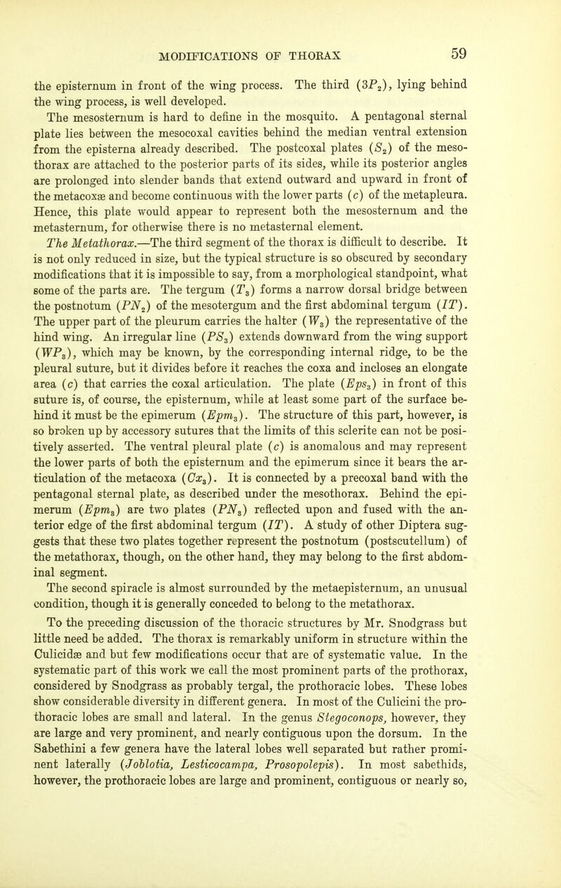 the epistemum in front of the wing process. The third (SPz)? lyiiig behind the wing process, is well developed. The mesostemum is hard to define in the mosquito. A pentagonal sternal plate lies between the mesocoxal cavities behind the median ventral extension from the episterna already described. The postcoxal plates {S2) of the meso- thorax are attached to the posterior parts of its sides, while its posterior angles are prolonged into slender bands that extend outward and upward in front of the metacoxse and become continuous with the lower parts (c) of the metapleura. Hence, this plate would appear to represent both the mesosternum and the metasternum, for otherwise there is no metasternal element. The Metathorax.—The third segment of the thorax is difficult to describe. It is not only reduced in size, but the typical structure is so obscured by secondary modifications that it is impossible to say, from a morphological standpoint, what some of the parts are. The tergum (T3) forms a narrow dorsal bridge between the postnotum (PN^) of the mesotergum and the first abdominal tergum (IT). The upper part of the pleurum carries the halter (W3) the representative of the hind wing. An irregular line (PS3) extends downward from the wing support (WPg), which may be known, by the corresponding internal ridge, to be the pleural suture, but it divides before it reaches the coxa and incloses an elongate area (c) that carries the coxal articulation. The plate (EpSa) in front of this suture is, of course, the epistemum, while at least some part of the surface be- hind it must be the epimerum (Epm^). The structure of this part, however, is so broken up by accessory sutures that the limits of this sclerite can not be posi- tively asserted. The ventral pleural plate (c) is anomalous and may represent the lower parts of both the epistemum and the epimerum since it bears the ar- ticulation of the metacoxa (Cx^). It is connected by a precoxal band with the pentagonal sternal plate, as described under the mesothorax. Behind the epi- merum (Epnig) are two plates (PNg) reflected upon and fused with the an- terior edge of the first abdominal tergum (IT). A study of other Diptera sug- gests that these two plates together represent the postnotum (postscutellum) of the metathorax, though, on the other hand, they may belong to the first abdom- inal segment. The second spiracle is almost surrounded by the metaepisternum, an unusual condition, though it is generally conceded to belong to the metathorax. To the preceding discussion of the thoracic structures by Mr. Snodgrass but little need be added. The thorax is remarkably uniform in structure within the Culicidse and but few modifications occur that are of systematic value. In the systematic part of this work we call the most prominent parts of the prothorax, considered by Snodgrass as probably tergal, the prothoracic lobes. These lobes show considerable diversity in different genera. In most of the Culicini the pro- thoracic lobes are small and lateral. In the genus Stegoconops, however, they are large and very prominent, and nearly contiguous upon the dorsum. In the Sabethini a few genera have the lateral lobes well separated but rather promi- nent laterally {Johlotia, Lesticocampa, Prosopolepis). In most sabethids, however, the prothoracic lobes are large and prominent, contiguous or nearly so.