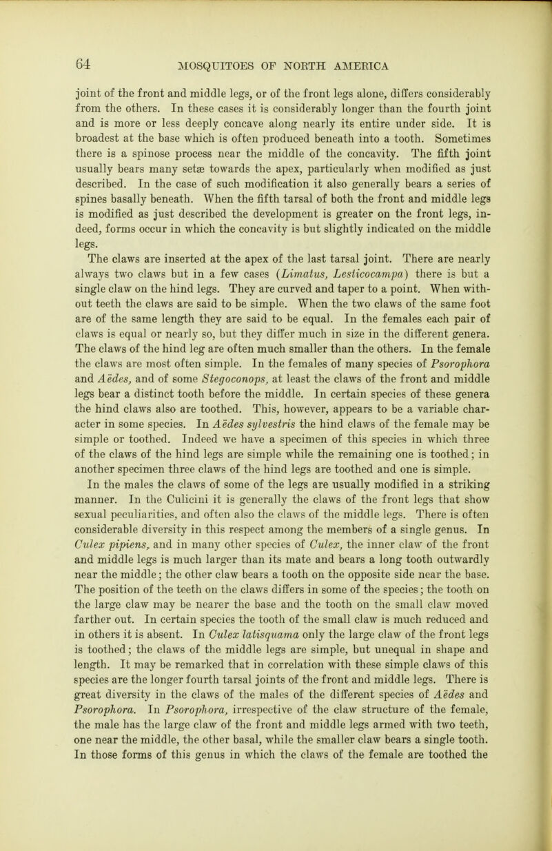 joint of the front and middle legs, or of the front legs alone, differs considerably from the others. In these cases it is considerably longer than the fourth joint and is more or less deeply concave along nearly its entire under side. It is broadest at the base which is often produced beneath into a tooth. Sometimes there is a spinose process near the middle of the concavity. The fifth joint usually bears many setse towards the apex, particularly when modified as just described. In the case of such modification it also generally bears a series of spines basally beneath. When the fifth tarsal of both the front and middle legs is modified as just described the development is greater on the front legs, in- deed, forms occur in which the concavity is but slightly indicated on the middle legs. The claws are inserted at the apex of the last tarsal joint. There are nearly always two claws but in a few cases {Limatus, Lesiicocampa) there is but a single claw on the hind legs. They are curved and taper to a point. When with- out teeth the claws are said to be simple. When the two claws of the same foot are of the same length they are said to be equal. In the females each pair of claws is equal or nearly so, but they differ much in size in the different genera. The claws of the hind leg are often much smaller than the others. In the female the claM^s are most often simple. In the females of many species of Psorophora and Aedes, and of some Stegoconops, at least the claws of the front and middle legs bear a distinct tooth before the middle. In certain species of these genera the hind claws also are toothed. This, however, appears to be a variable char- acter in some species. In Aedes sylvestris the hind claws of the female may be simple or toothed. Indeed we have a specimen of this species in which three of the claws of the hind legs are simple while the remaining one is toothed; in another specimen three claws of the hind legs are toothed and one is simple. In the males the claws of some of the legs are usually modified in a striking manner. In the Culicini it is generally the claws of the front legs that show sexual peculiarities, and often also the claws of the middle logs. There is often considerable diversity in this respect among the members of a single genus. In Culex pipienSf and in many other species of Culex, the inner claw of the front and middle legs is much larger than its mate and bears a long tooth outwardly near the middle; the other claw bears a tooth on the opposite side near the base. The position of the teeth on the claws differs in some of the species; the tooth on the large claw may be nearer the base and the tooth on the small claw moved farther out. In certain species the tooth of the small claw is much reduced and in others it is absent. In Culex latisquama only the large claw of the front legs is toothed; the claws of the middle legs are simple, but unequal in shape and length. It may be remarked that in correlation with these simple claws of this species are the longer fourth tarsal joints of the front and middle legs. There is great diversity in the claws of the males of the different species of Aedes and Psorophora. In Psorophora, irrespective of the claw structure of the female, the male has the large claw of the front and middle legs armed with two teeth, one near the middle, the other basal, while the smaller claw bears a single tooth. In those forms of this genus in which the claws of the female are toothed the