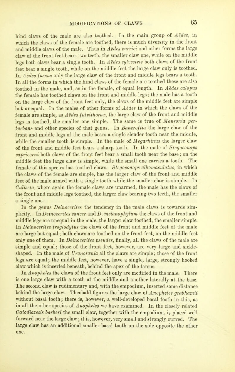 hind claws of the male are also toothed. In the main group of Aedes, in which the claws of the female are toothed, there is much diversity in the front and middle claws of the male. Thus in Aedes curriei and other forms the large claw of the front feet bears two teeth, the smaller claw one, while on the middle legs both claws bear a single tooth. In Aedes sylvestris both claws of the front feet bear a single tooth, while on the middle feet the large claw only is toothed. In Aedes fuscus only the large claw of the front and middle legs bears a tooth. In all the forms in which the hind claws of the female are toothed these are also toothed in the male, and, as in the female, of equal length. In Aedes calopiis the female has toothed claws on the front and middle legs ; the male has a tooth on the large claw of the front feet only, the claws of the middle feet are simple but unequal. In the males of other forms of Aedes in which the claws of the female are simple, as Aedes fulvithorax, the large claw of the front and middle legs is toothed, the smaller one simple. The same is true of Mansonia per- turbans and other species of that genus. In Bancroftia the large claw of the front and middle legs of the male bears a single slender tooth near the middle, while the smaller tooth is simple. In the male of Megarhinus the larger claw of the front and middle feet bears a sharp tooth. In the male of Stegoconops capricorni both claws of the front feet bear a small tooth near the base; on the middle feet the large claw is simple, while the small one carries a tooth. The female of this species has toothed claws. Stegoconops albomaculatus, in which the claws of the female are simple, has the larger claw of the front and middle feet of the male armed with a single tooth while the smaller claw is simple. In Culiseta, where again the female claws are unarmed, the male has the claws of the front and middle legs toothed, the larger claw bearing two teeth, the smaller a single one. In the genus Deinocerites the tendency in the'male claws is towards sim- plicity. In Deinocerites cancer and D. melanophylum the claws of the front and middle legs are unequal in the male, the larger claw toothed, the smaller simple. In Deinocerites troglodytus the claws of the front and middle feet of the male are large but equal; both claws are toothed on the front feet, on the middle feet only one of them. In Deinocerites pseudes, finally, all the claws of the male are simple and equal; those of the front feet, however, are very large and sickle- shaped. In the male of Uranotcenia all the claws are simple; those of the front legs are equal; the middle feet, however, have a single, large, strongly hooked claw which is inserted beneath, behind the apex of the tarsus. In Anopheles the claws of the front feet only are modified in the male. There is one large claw with a tooth at the middle and another laterally at the base. The second claw is rudimentary and, with the empodium, inserted some distance behind the large claw. Theobald figures the large claw of Anopheles grabhamii without basal tooth; there is, however, a well-developed basal tooth in this, as in all the other species of Anopheles we have examined. In the closely related Ccelodiazesis barleri the small claw, together with the empodium, is placed well forward near the large claw; it is, however, very small and strongly curved. The large claw has an additional smaller basal tooth on the side opposite the other one.