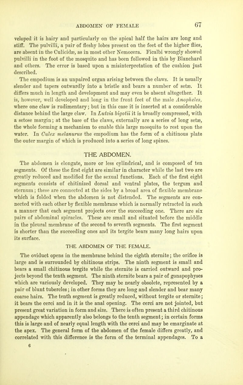veloped it is hairy and particularly on the apical half the hairs are long and stiff. The pulvilli, a pair of fleshy lobes present on the feet of the higher flies, are absent in the CuHcidfe, as in most other Nemocera. Ficalbi wrongly showed pulvilli in the foot of the mosquito and has been followed in this by Blanchard and others. The error is based upon a misinterpretation of the cushion just described. The empodium is an unpaired organ arising between the claws. It is usually slender and tapers outwardly into a bristle and bears a number of setae. It differs much in length and development and may even be absent altogether. It is, however, well developed and long in the front feet of the male Anopheles, where one claw is rudimentary; but in this case it is inserted at a considerable distance behind the large claw. In Lutzia bigotii it is broadly compressed, with a setose margin; at the base of the claws, externally are a series of long setae, the whole forming a mechanism to enable this large mosquito to rest upon the water. In Culex melanurus the empodium has the form of a chitinous plate the outer margin of which is produced into a series of long spines. THE ABDOMEN. The abdomen is elongate, more or less cylindrical, and is composed of ten segments. Of these the first eight are similar in character while the last two are greatly reduced and modified for the sexual functions. Each of the first eight segments consists of chitinized dorsal and ventral plates, the tergum and sternum; these are connected at the sides by a broad area of flexible membrane which is folded when the abdomen is not distended. The segments are con- nected with each other by flexible membrane which is normally retracted in such a manner that each segment projects over the succeeding one. There are six pairs of abdominal spiracles. These are small and situated before the middle in the pleural membrane of the second to seventh segments. The first segment is shorter than the succeeding ones and its tergite bears many long hairs upon its surface. THE ABDOMEN OF THE FEMALE. The oviduct opens in the membrane behind the eighth sternite; the orifice is large and is surrounded by chitinous strips. The ninth segment is small and bears a small chitinous tergite while the sternite is canied outward and pro- jects beyond the tenth segment. The ninth sternite bears a pair of gonapophyses which are variously developed. They may be nearly obsolete, represented by a pair of blunt tubercles; in other forms they are long and slender and bear many coarse hairs. The tenth segment is greatly reduced, without tergite or sternite; it bears the cerci and in it is the anal opening. The cerci are not jointed, but present great variation in form and size. There is often present a third chitinous appendage which apparently also belongs to the tenth segment; in certain forms this is large and of nearly equal length with the cerci and may be emarginate at the apex. The general form of the abdomen of the female differs greatly, and correlated with this difference is the form of the terminal appendages. To a 6