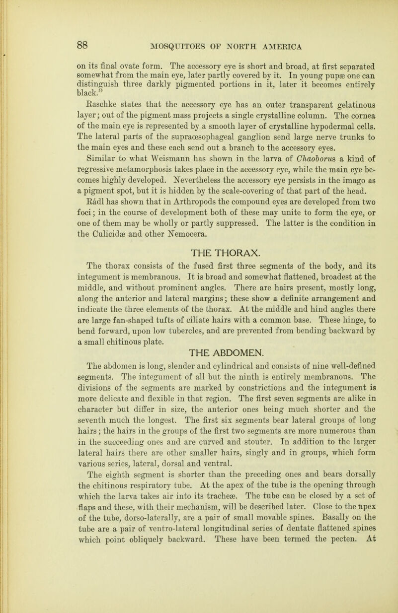 on its final ovate form. The accessory eye is short and broad, at first separated somewhat from the main eye, later partly covered by it. In young pupae one can distinguish three darkly pigmented portions in it, later it becomes entirely black. Easchke states that the accessory eye has an outer transparent gelatinous layer; out of the pigment mass projects a single crystalline column. The cornea of the main eye is represented by a smooth layer of crystalline hypodermal cells. The lateral parts of the supracesophageal ganglion send large nerve trunks to the main eyes and these each send out a branch to the accessory eyes. Similar to what Weismann has shown in the larva of Ghaoiorus a kind of regressive metamorphosis takes place in the accessory eye, while the main eye be- comes highly developed. Nevertheless the accessory eye persists in the imago as a pigment spot, but it is hidden by the scale-covering of that part of the head. Eadl has shown that in Arthropods the compound eyes are developed from two foci; in the course of development both of these may unite to form the eye, or one of them may be wholly or partly suppressed. The latter is the condition in the Culicidae and other Nemocera. THE THORAX. The thorax consists of the fused first three segments of the body, and its integument is membranous. It is broad and somewhat flattened, broadest at the middle, and without prominent angles. There are hairs present, mostly long, along the anterior and lateral margins; these show a definite arrangement and indicate the three elements of the thorax. At the middle and hind angles there are large fan-shaped tufts of ciliate hairs with a common base. These hinge, to bend forward, upon low tubercles, and are prevented from bending baekward by a small chitinous plate. THE ABDOMEN. The abdomen is long, slender and cylindrical and consists of nine well-defined segments. The integument of all but the ninth is entirely membranous. The divisions of the segments are marked by constrictions and the integument is more delicate and flexible in that region. The first seven segments are alike in character but differ in size, the anterior ones being much shorter and the seventh much the longest. The first six segments bear lateral groups of long hairs ; the hairs in the groups of the first two segments are more numerous than in the succeeding ones and are curved and stouter. In addition to the larger lateral hairs there are other smaller hairs, singly and in groups, which form various series, lateral, dorsal and ventral. The eighth segment is shorter than the preceding ones and bears dorsally the chitinous respiratory tube. At the apex of the tube is the opening through which the larva takes air into its tracheae. The tube can be closed by a set of fiaps and these, with their mechanism, will be described later. Close to the npex of the tube, dorso-laterally, are a pair of small movable spines. Basally on the tube are a pair of ventro-lateral longitudinal series of dentate flattened spines which point obliquely backward. These have been termed the pecten. At
