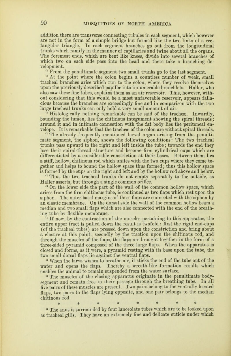 addition there are transverse connecting tubules in each segment, which however are not in the form of a simple bridge but formed like the two links of a rec- tangular triangle. In each segment branches go out from the longitudinal trunks which ramify in the manner of capillaries and twine about all the organs. The foremost ends, which are bent like knees, divide into several branches of which two on each side pass into the head and there take a branching de- velopment.  From the penultimate segment two small trunks go to the last segment.  At the point where the colon begins a countless number of weak, small tracheal branches arise which run to the colon, where they resolve themselves upon the previously described papillae into innumerable branchlets. Haller, who also saw these fine tubes, explains them as an air reservoir. This, however, with- out considering that this would be a most unfavorable reservoir, appears falla- cious because the branches are exceedingly fine and in comparison with the two large tracheal trunks can only hold a very small amount of air.  Histologically nothing remarkable can be said of the tracheae. Inwardly, bounding the lumen, lies the chitinous integument showing the spiral threads; around it and in intimate connection with the fat body lies the peritoneal en- velope. It is remarkable that the tracheae of the colon are without spiral threads.  The already frequently mentioned larval organ arising from the penulti- mate segment, the siphon, shows the following conditions: The two tracheal trunks pass upward to the right and left inside the tube; towards the end they lose their spiral-thread structure and become firm cylindrical cups which are differentiated by a considerable constriction at their bases. Between them lies a stiff, hollow, chitinous rod which unites with the two cups where they come to- gether and helps to bound the hollow space thus formed; thus this hollow space is formed by the cups on the right and left and by the hollow rod above and below.  Thus the two tracheal trunks do not empty separately to the outside, as Haller asserts, but through a single common orifice.  On the lower side the part of the wall of the common hollow space, which arises from the firm chitinous tube, is continued as two flaps which rest upon the siphon. The outer basal margins of these flaps are connected with the siphon by an elastic membrane. On the dorsal side the wall of the common hollow bears a median and two small flaps which are also connected with the end of the breath- ing tube by flexible membrane.  If now, by the contraction of the muscles pertaining to this apparatus, the entire upper tract is pulled down the result is twofold: first the rigid end-cups (of the tracheal tubes) are pressed down upon the constriction and bring about a closure at this point; secondly by the traction upon the chitinous rod, and through the muscles of the flaps, the flaps are brought together in the form of a three-sided pyramid composed of the three large flaps. When the apparatus is closed and forms, as it were, a pyramid resting with its base upon the tube, the two small dorsal flaps lie against the ventral flaps.  When the larva wishes to breathe air, it sticks the end of the tube out of the water and opens the flaps. Thereby a wreath-like formation results which enables the animal to remain suspended from the water surface.  The muscles of the closing apparatus originate in the penultimate body- segment and remain free in their passage through the breathing tube. In all five pairs of these muscles are present. Two pairs belong to the ventrally located flaps, two pairs to the flaps lying opposite, and one pair belongs to the median chitinous rod. ********  The anus is surrounded by four lanceolate tubes which are to be looked upon as tracheal gills. They have an extremely flne and delicate cuticle under which