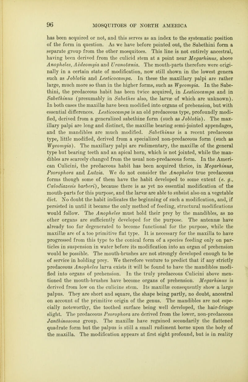 has been acquired or not, and this serves as an index to the systematic position of the form in question. As we have before pointed out, the Sabethini form a separate group from the other mosquitoes. This line is not entirely ancestral, having been derived from the culicid stem at a point near Megarkinns, above Anopheles, Aedeomyia and Uranotainia. The mouth-parts therefore were origi- nally in a certain state of modification, now still shown in the lowest genera such as Johlotia and Lesticocampa. In these the maxillary palpi are rather large, much more so than in the higher forms, such as Wyeomyia. In the Sabe- thini, the predaceous habit has been twice acquired, in Lesticocampa and in Sabethinus (presumably in Sabethes also, the larvae of which are unknown). In both cases the maxillae have been modified into organs of prehension, but with essential differences. Lesticocampa is an old predaceous type, profoundly modi- fied, derived from a generalized sabethine form (such as Joblotia). The max- illary palpi are long and distinct, the maxillge bearing semi-jointed appendages, and the mandibles are much modified. Sabetldnus is a recent predaceous type, little modified, derived from a specialized non-predaceous form (such as Wyeomyia). The maxillary palpi are rudimentary, the maxillge of the general type but bearing teeth and an apical horn, which is not jointed, while the man- dibles are scarcely changed from the usual non-predaceous form. In the Ameri- can Culicini, the predaceous habit has been acquired thrice, in Megarliinus, Psorophora and Lutzia. We do not consider the Anopheles true predaceous forms though some of them have the habit developed to some extent (e. g., Coelodiazesis barberi), because there is as yet no essential modification of the mouth-parts for this purpose, and the larvae are able to subsist also on a vegetable diet. No doubt the habit indicates the beginning of such a modification, and, if persisted in until it became the only method of feeding, structural modificafions would follow. The Anopheles must hold their prey by the mandibles, as no other organs are sufficiently developed for the purpose. The antennae have already too far degenerated to become functional for the purpose, while the maxillas are of a too primitive flat type. It is necessary for the maxilla to have progressed from this type to the conical form of a species feeding only on par- ticles in suspension in water before its modification into an organ of prehension would be possible. The mouth-brushes are not strongly developed enough to be of service in holding prey. We therefore venture to predict that if any strictly predaceous Anopheles larva exists it will be found to have the mandibles modi- fied into organs of prehension. In the truly predaceous Culicini above men- tioned the mouth-brushes have become organs of prehension. Megarhinus is derived from low on the culicine stem. Its maxillae consequently show a large palpus. They are short and square, the shape being partly, no doubt, ancestral on account of the primitive origin of the genus. The mandibles are not espe- cially noteworthy, the toothed surface being well developed, the hair-fringe slight. The predaceous Psorophora are derived from the lower, non-predaceous Janthinosoma group. The maxillae have regained secondarily the flattened quadrate form but the palpus is still a small rudiment borne upon the body of the maxilla. The modification appears at first sight profound, but is in reality
