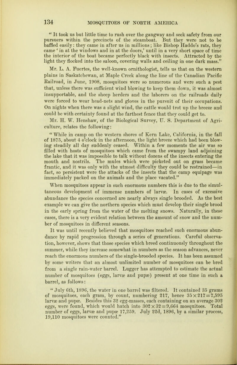 It took us but little time to rush over the gangway and seek safety from our pursuers within the precincts of the steamboat. But they were not to be baffled easily: they came in after us in millions; like Bishop Haddo's rats, they came ' in at the windows and in at the doors,' until in a very short space of time the interior of the boat became perfectly black with insects. Attracted by the light they flocked into the saloon, covering walls and ceiling in one dark mass. Mr. L. A. Fuertes, the well-known ornithologist, tells us that on the western plains in Saskatchewan, at Maple Creek along the line of the Canadian Pacific Eailroad, in June, 1908, mosquitoes were so numerous and were such a pest that, unless there was sufficient wind blowing to keep them down, it was almost insupportable, and the sheep herders and the laborers on the railroads daily were forced to wear head-nets and gloves in the pursuit of their occupations. On nights when there was a slight wind, the cattle would trot up the breeze and could be with certainty found at the farthest fence that they could get to. Mr. H. W. Henshaw, of the Biological Survey, TJ. S. Department of Agri- culture, relates the following: While in camp on the western shores of Kern Lake, California, in the fall of 1875, about 4 o'clock in the afternoon, the light breeze which had been blow- ing steadily all day suddenly ceased. Within a few moments the air was so filled with hosts of mosquitoes which came from the swampy land adjoining the lake that it was impossible to talk without dozens of the insects entering the mouth and nostrils. The mules which were picketed out on grass became frantic, and it was only with the utmost difficulty they could be restrained—in fact, so persistent were the attacks of the insects that the camp equipage was immediately packed on the animals and the place vacated. When mosquitoes appear in such enormous numbers this is due to the simul- taneous development of immense numbers of larvae. In cases of excessive abundance the species concerned are nearly always single brooded. As the best example we can give the northern species which must develop their single brood in the early spring from the water of the melting snows. Naturally, in these cases, there is a very evident relation between the amount of snow and the num- ber of mosquitoes in different seasons. It was until recently believed that mosquitoes reached such enormous abun- dance by rapid progression through a series of generations. Careful observa- tion, however, shows that those species which breed continuously throughout the summer, while they increase somewhat in numbers as the season advances, never reach the enormous numbers of the single-brooded species. It has been assumed by some writers that an almost unlimited number of mosquitoes can be bred from a single rain-water barrel. Lugger has attempted to estimate the actual number of mosquitoes (eggs, larva3 and pupae) present at one time in such a barrel, as follows: July 6th, 1896, the water in one barrel was filtered. It contained 35 grams of mosquitoes, each gram, by count, numbering 217, hence 35x217 = 7,595 larvae and pupae. Besides this 33 egg-masses, each containing on an average 302 eggs, were found, which would hatch into 302x32 = 9,664 mosquitoes. Total number of eggs, larvae and pupae 17,259. July 22d, 1896, by a similar process, 19,110 mosquitoes were counted.