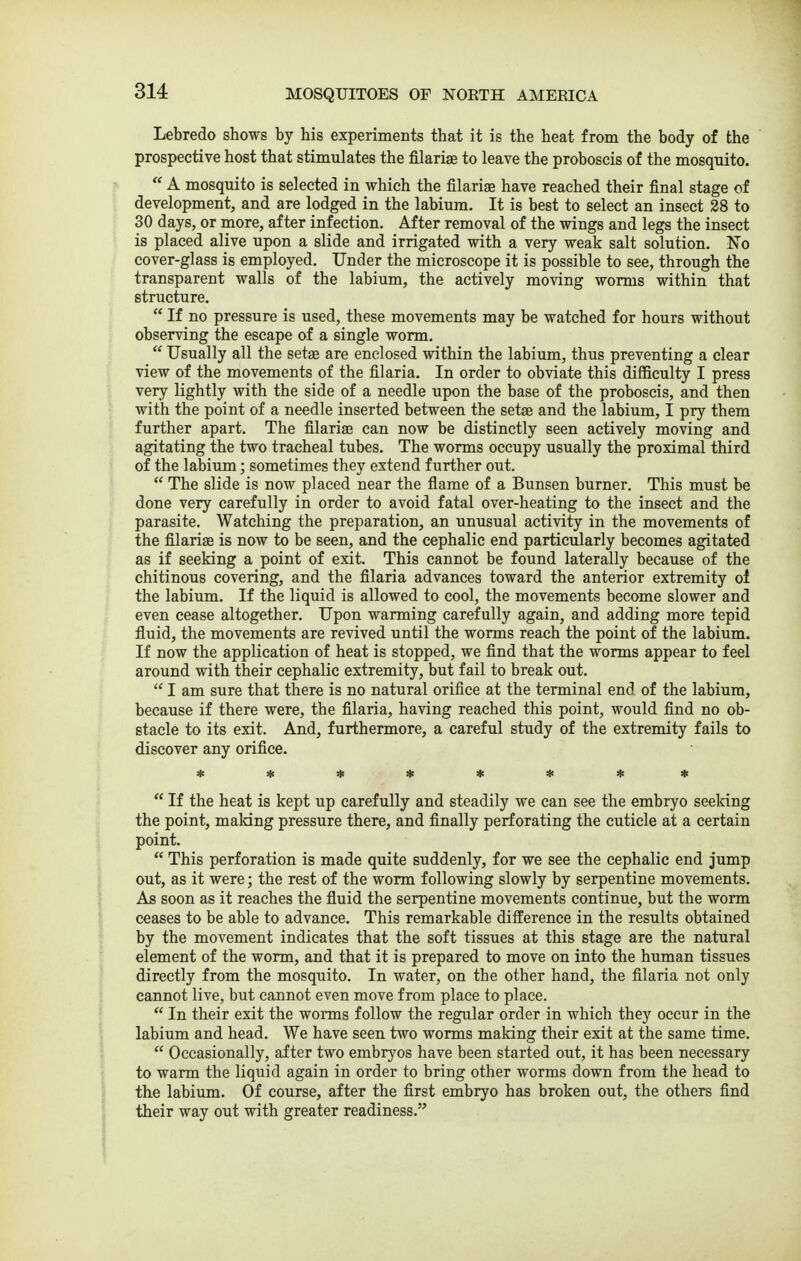 Lebredo shows by his experiments that it is the heat from the body of the prospective host that stimulates the filarise to leave the proboscis of the mosquito.  A mosquito is selected in which the filarige have reached their final stage of development, and are lodged in the labium. It is best to select an insect 28 to 30 days, or more, after infection. After removal of the wings and legs the insect is placed alive upon a slide and irrigated with a very weak salt solution. No cover-glass is employed. Under the microscope it is possible to see, through the transparent walls of the labium, the actively moving worms within that structure.  If no pressure is used, these movements may be watched for hours without observing the escape of a single worm.  Usually all the sets are enclosed within the labium, thus preventing a clear view of the movements of the filaria. In order to obviate this difficulty I press very lightly with the side of a needle upon the base of the proboscis, and then with the point of a needle inserted between the setae and the labium, I pry them further apart. The filariae can now be distinctly seen actively moving and agitating the two tracheal tubes. The worms occupy usually the proximal third of the labium; sometimes they extend further out.  The slide is now placed near the flame of a Bunsen burner. This must be done very carefully in order to avoid fatal over-heating to the insect and the parasite. Watching the preparation, an unusual activity in the movements of the filariffi is now to be seen, and the cephalic end particularly becomes agitated as if seeking a point of exit. This cannot be found laterally because of the chitinous covering, and the filaria advances toward the anterior extremity of the labium. If the liquid is allowed to cool, the movements become slower and even cease altogether. Upon warming carefully again, and adding more tepid fluid, the movements are revived until the worms reach the point of the labium. If now the application of heat is stopped, we find that the worms appear to feel around with their cephalic extremity, but fail to break out.  I am sure that there is no natural orifice at the terminal end of the labium, because if there were, the filaria, having reached this point, would find no ob- stacle to its exit. And, furthermore, a careful study of the extremity fails to discover any orifice.  If the heat is kept up carefully and steadily we can see the embryo seeking the point, making pressure there, and finally perforating the cuticle at a certain point.  This perforation is made quite suddenly, for we see the cephalic end jump out, as it were; the rest of the worm following slowly by serpentine movements. As soon as it reaches the fluid the serpentine movements continue, but the worm ceases to be able to advance. This remarkable difference in the results obtained by the movement indicates that the soft tissues at this stage are the natural element of the worm, and that it is prepared to move on into the human tissues directly from the mosquito. In water, on the other hand, the filaria not only cannot live, but cannot even move from place to place.  In their exit the worms follow the regular order in which they occur in the labium and head. We have seen two worms making their exit at the same time.  Occasionally, after two embryos have been started out, it has been necessary to warm the liquid again in order to bring other worms down from the head to the labium. Of course, after the first embryo has broken out, the others find their way out with greater readiness.